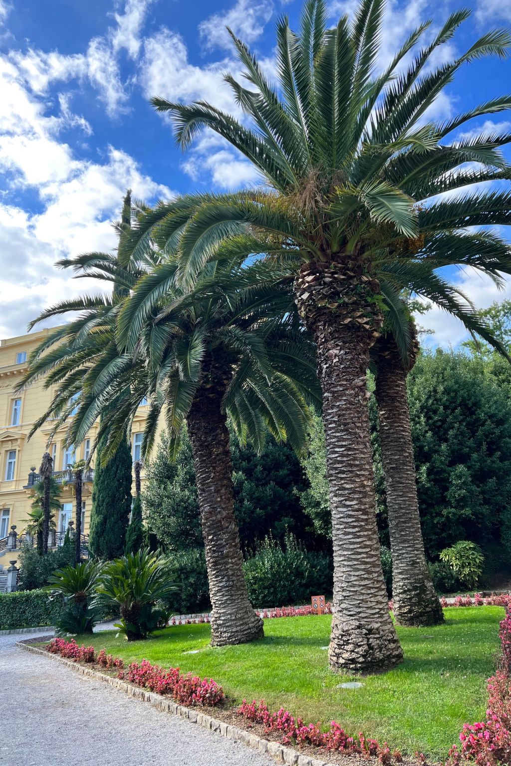Appartement mit Terrasse-Inside