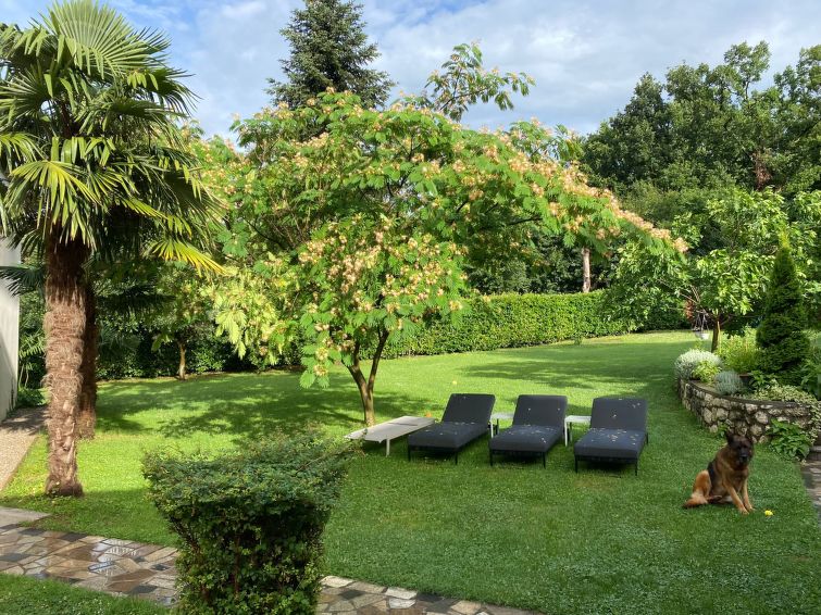 mit Terrasse