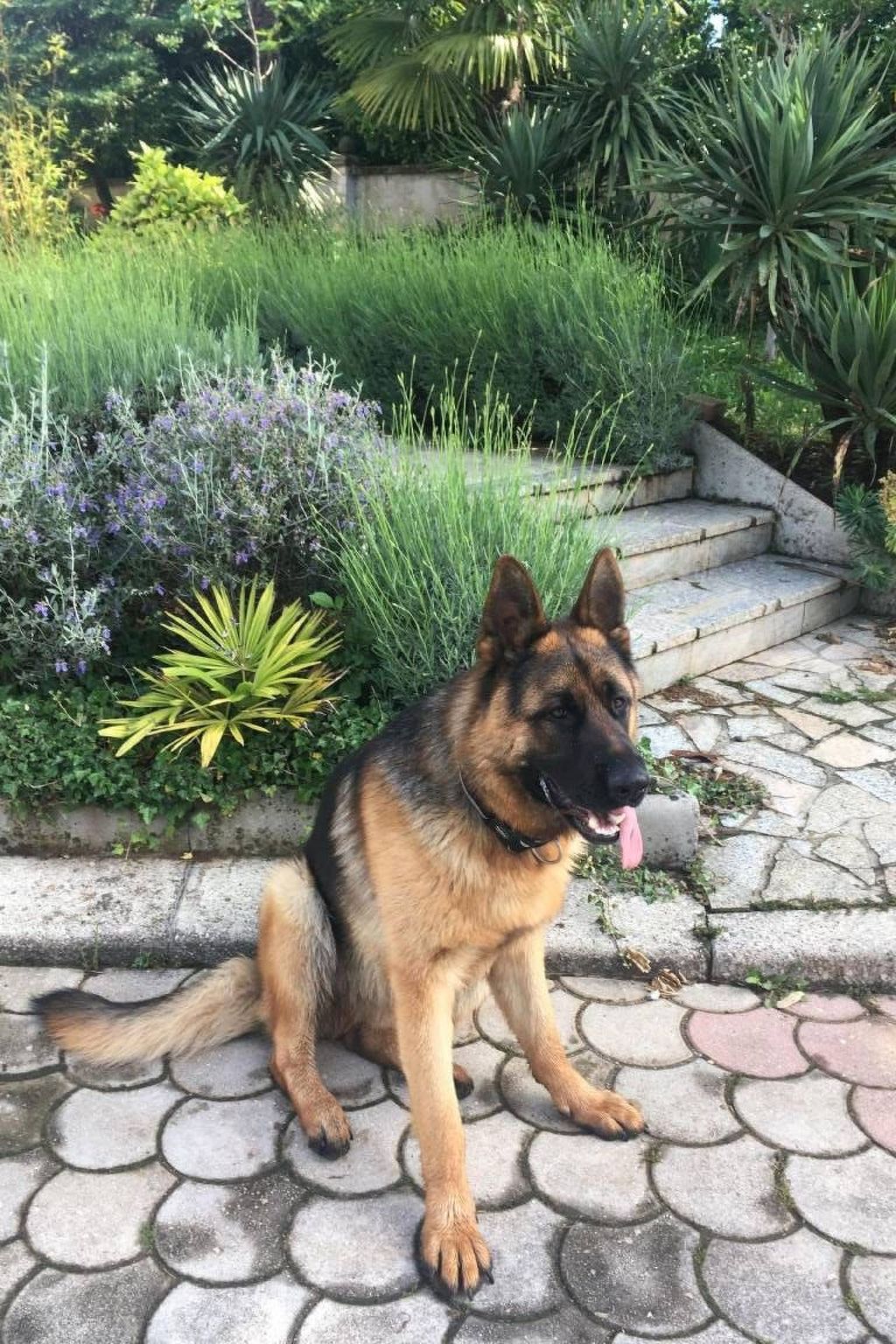 Photo of Erdgeschoss-Apartment A2