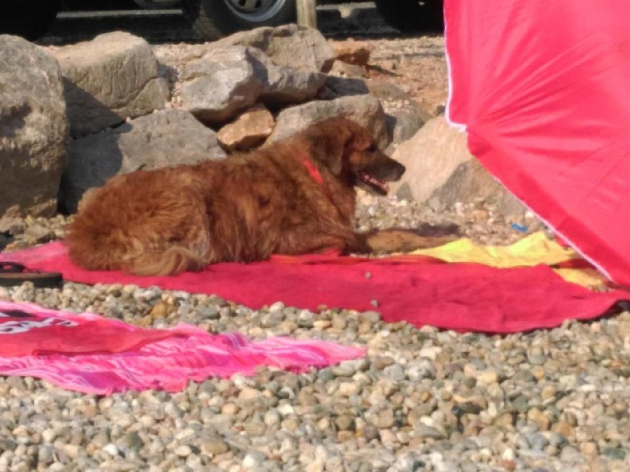 Mit Blick auf das Wasser-Binnen