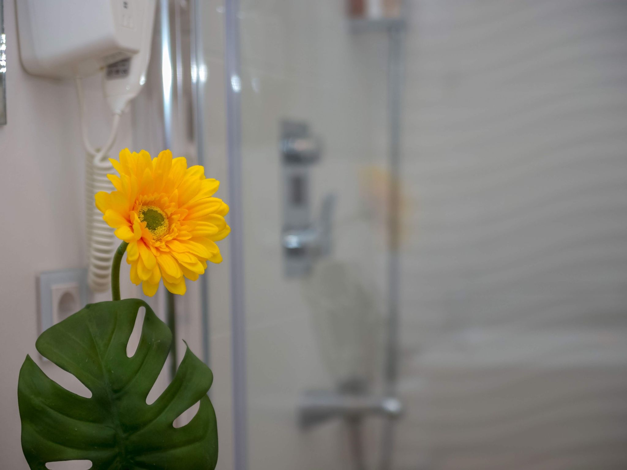 Wohnungen Rijeka Zentrum Terra I-Binnen