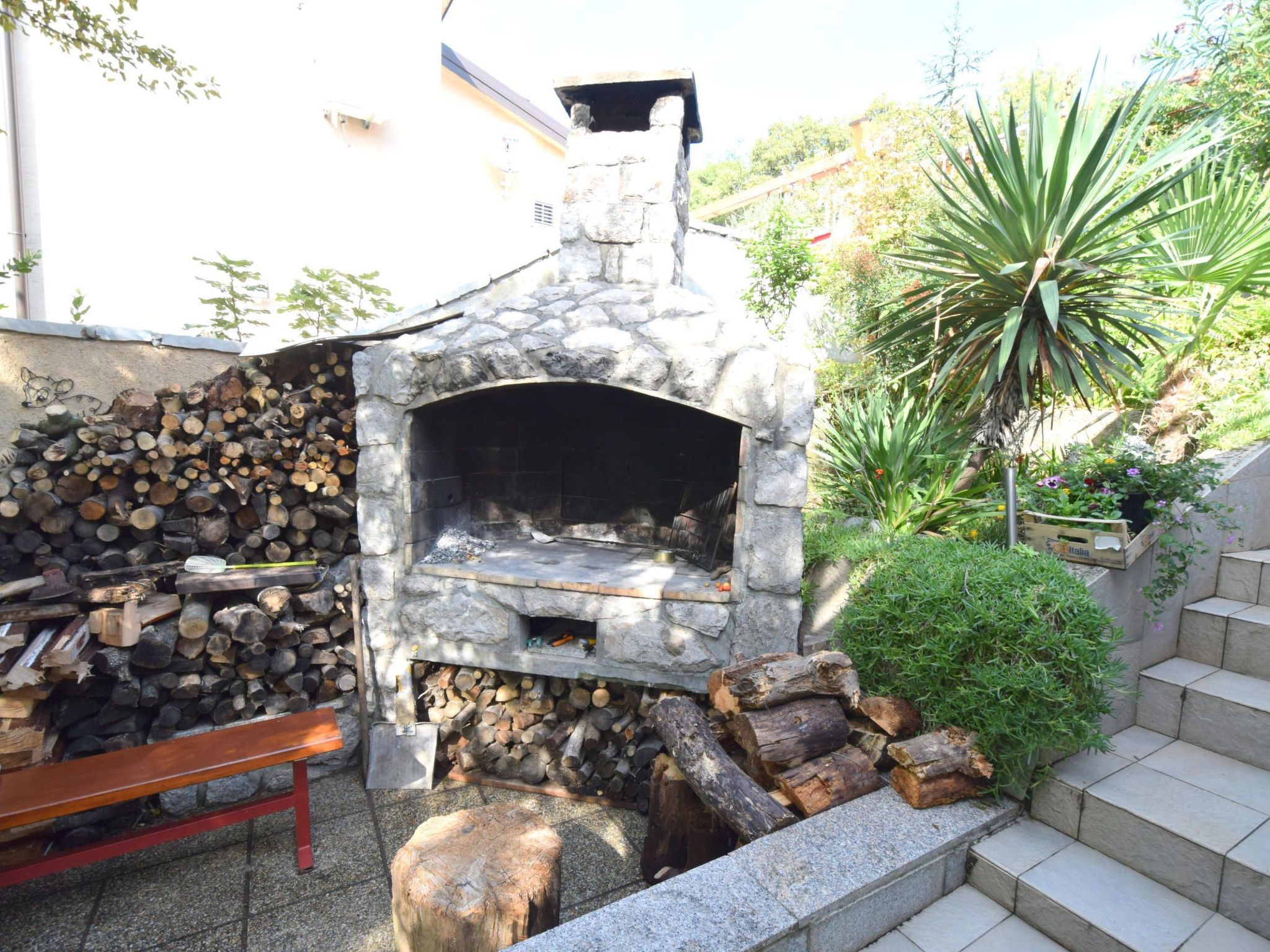 Cvenkica-Image-tags.info