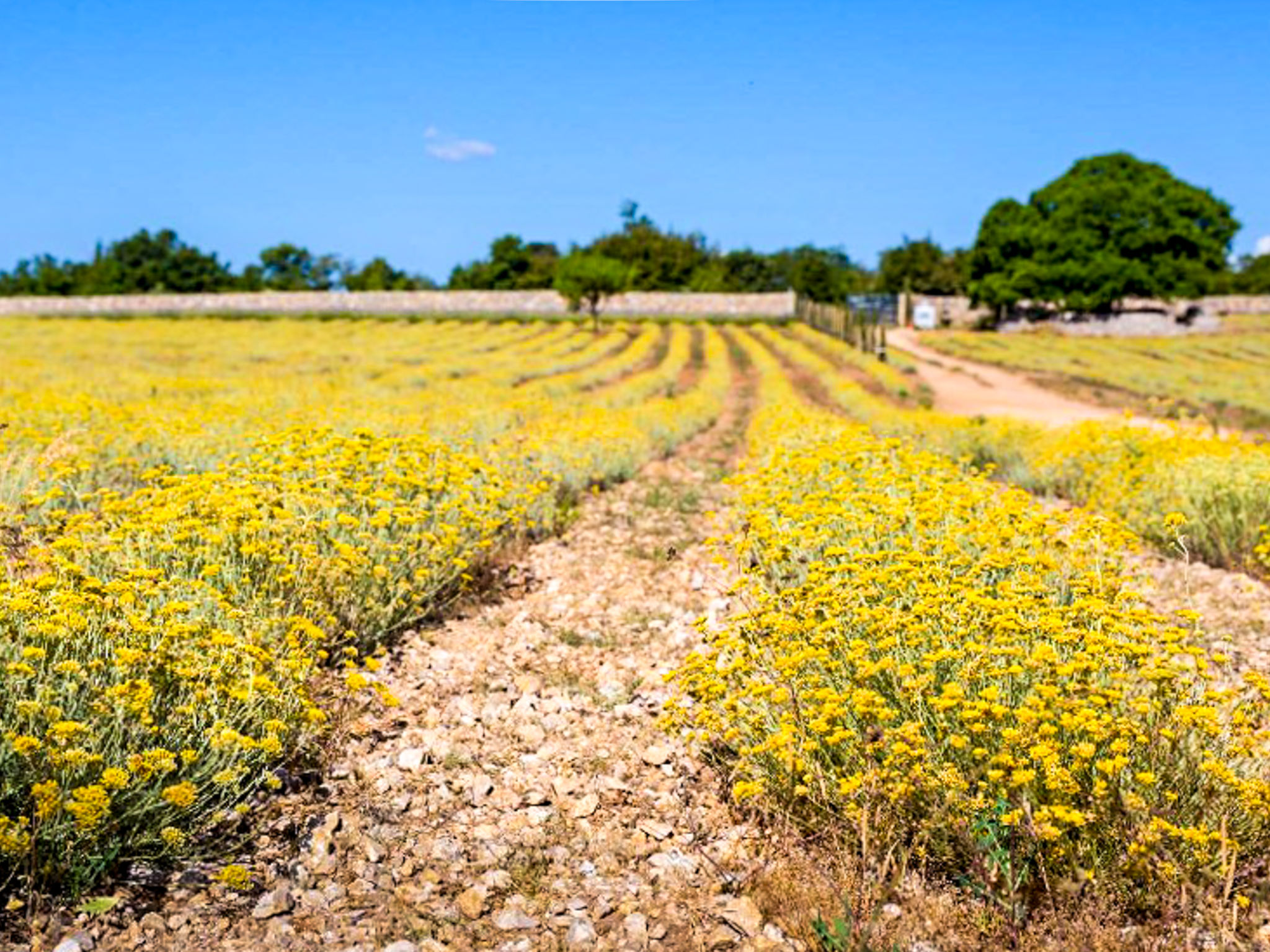 Wohnung Elvira-Omgeving