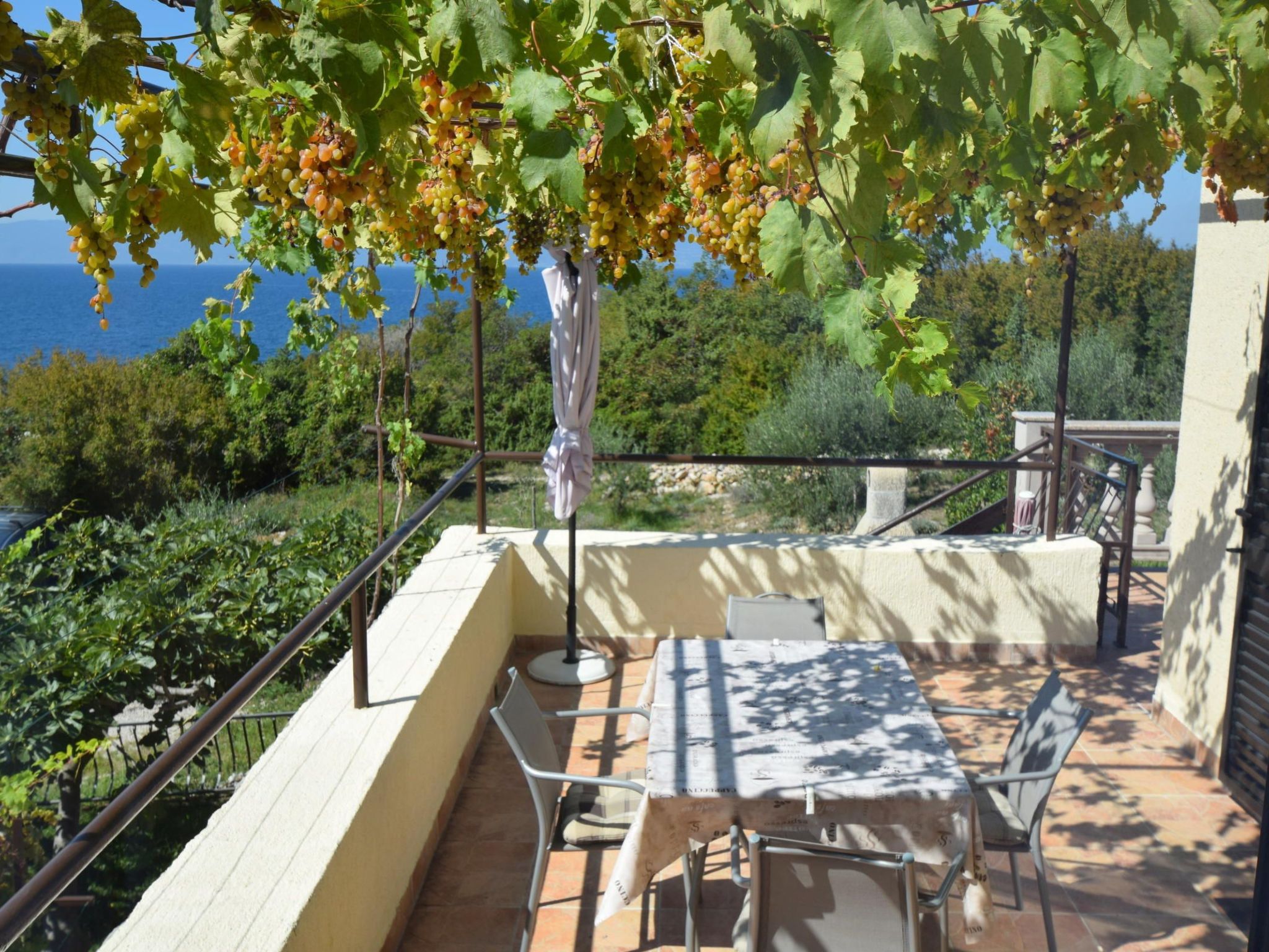 Wohnung Pampas-Image-tags.info