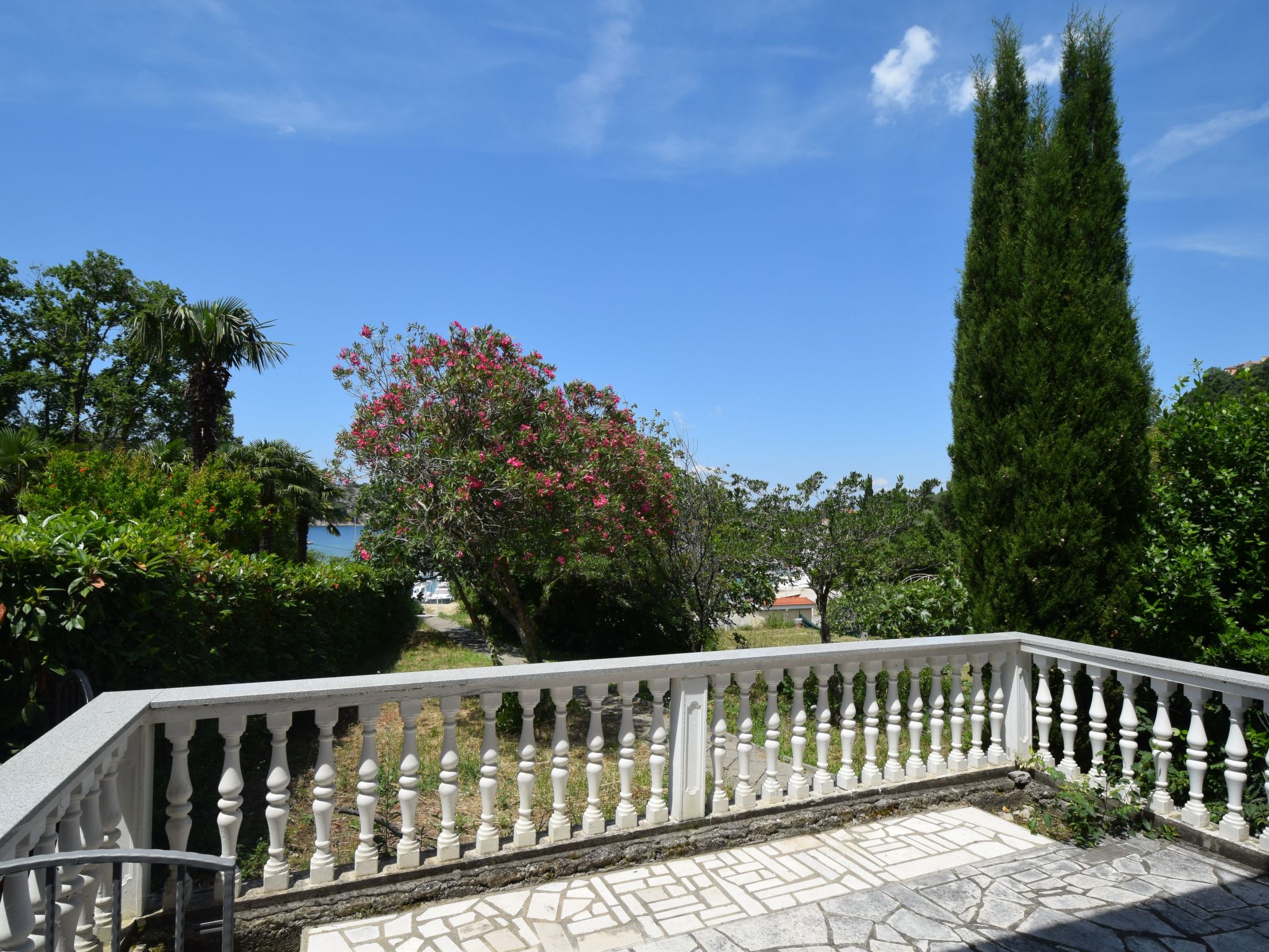 Pesja-Image-tags.info