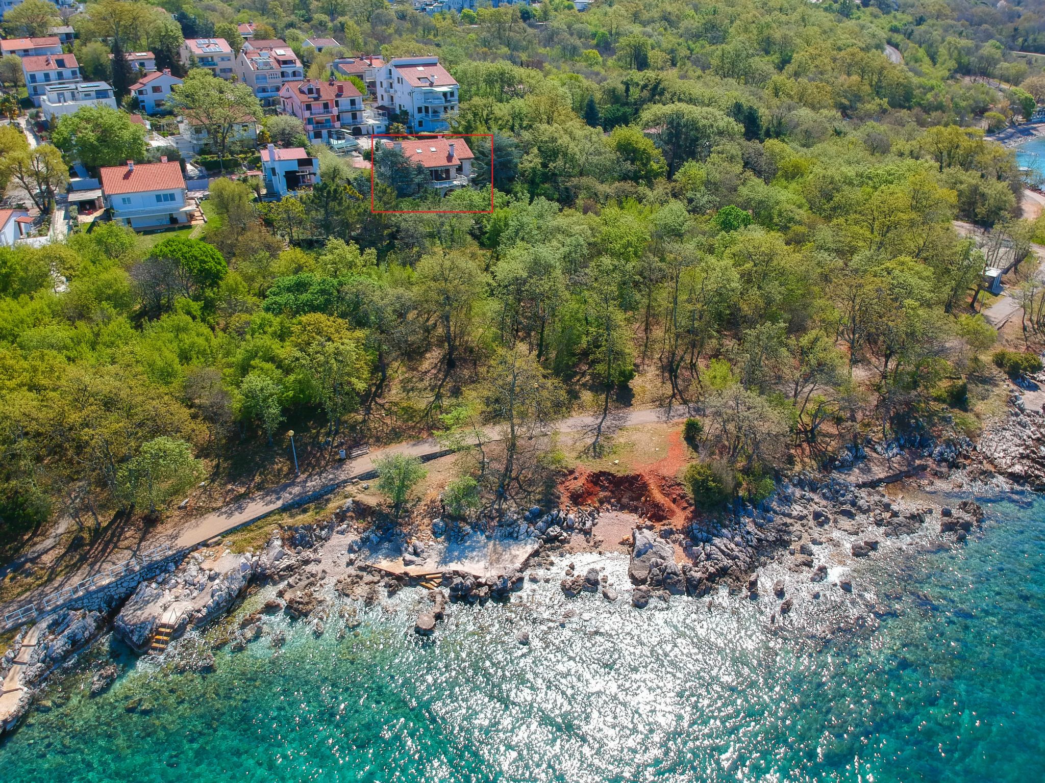 Lina — view 1 of 32