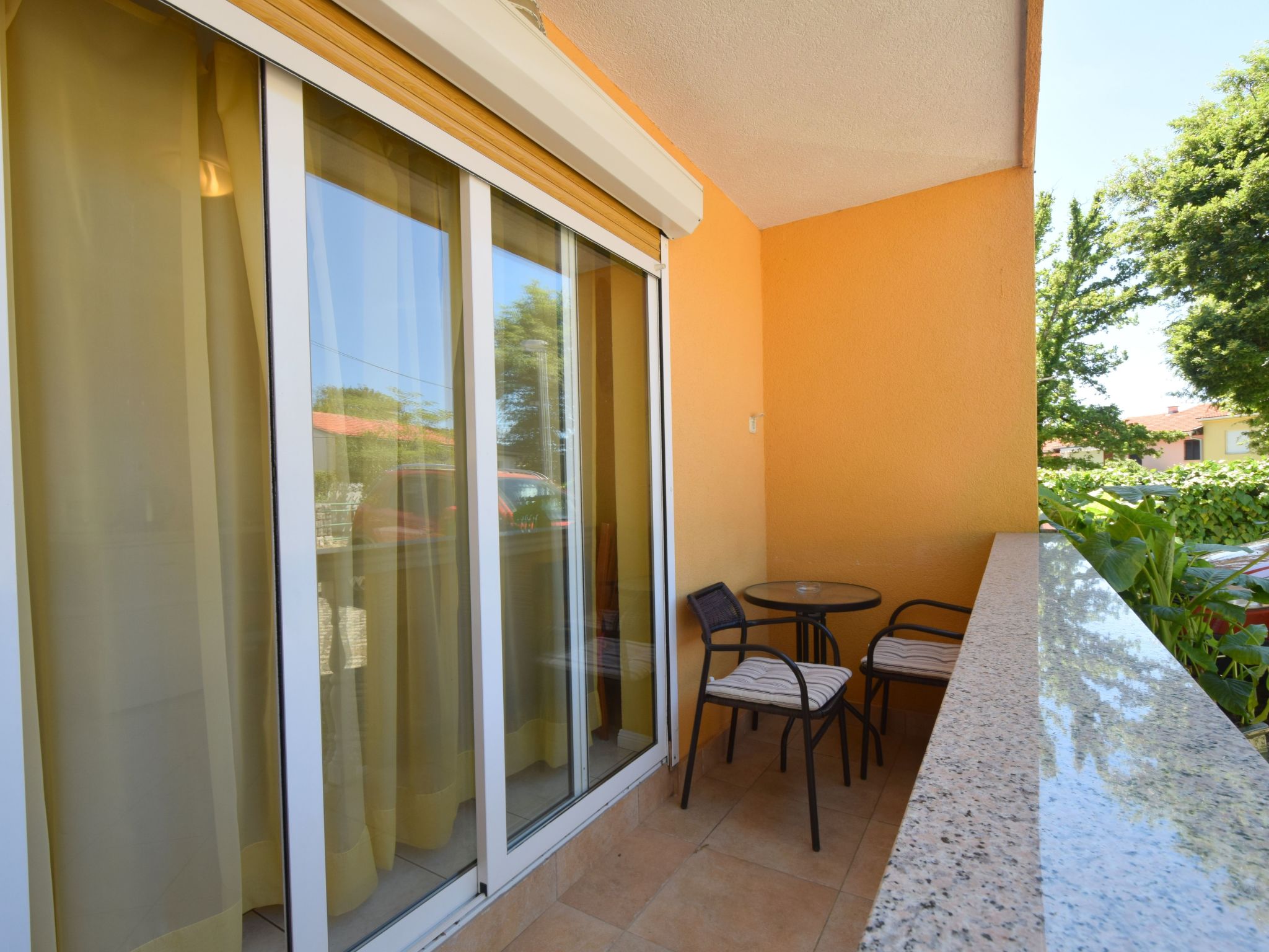 Jelica 2-Image-tags.info