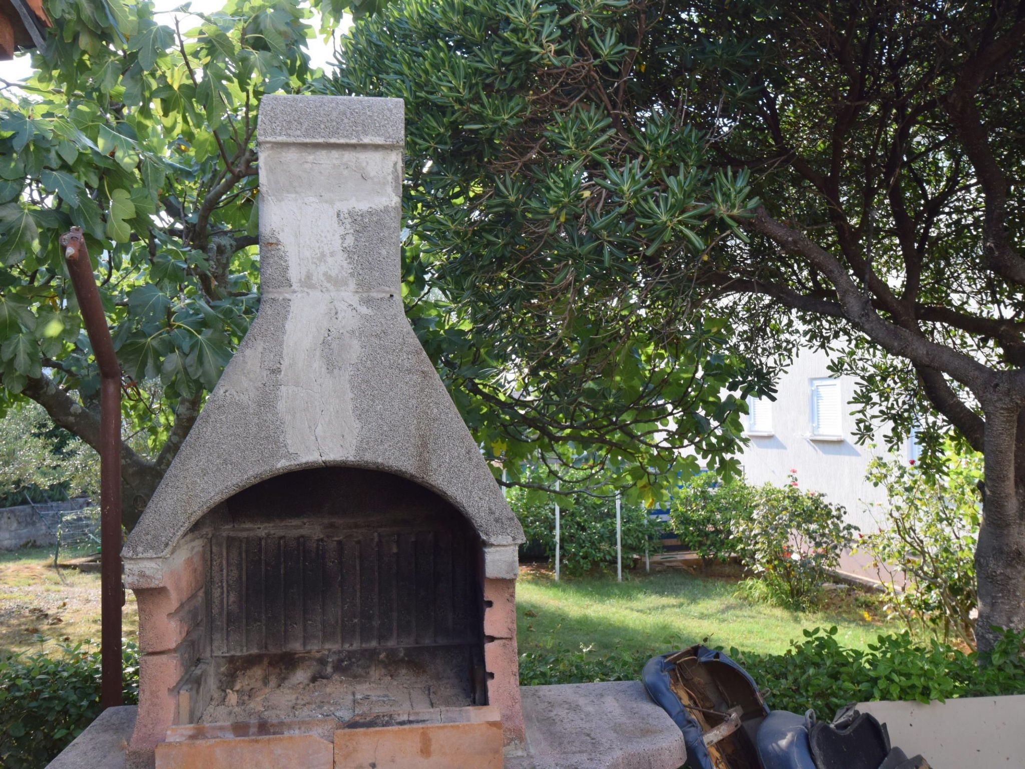 Milica-Image-tags.info