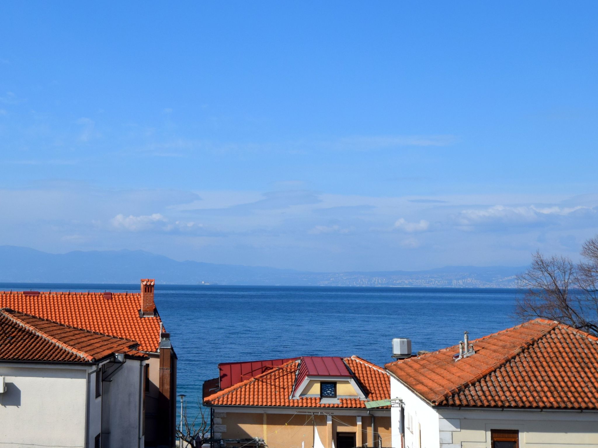 Paula-Image-tags.info