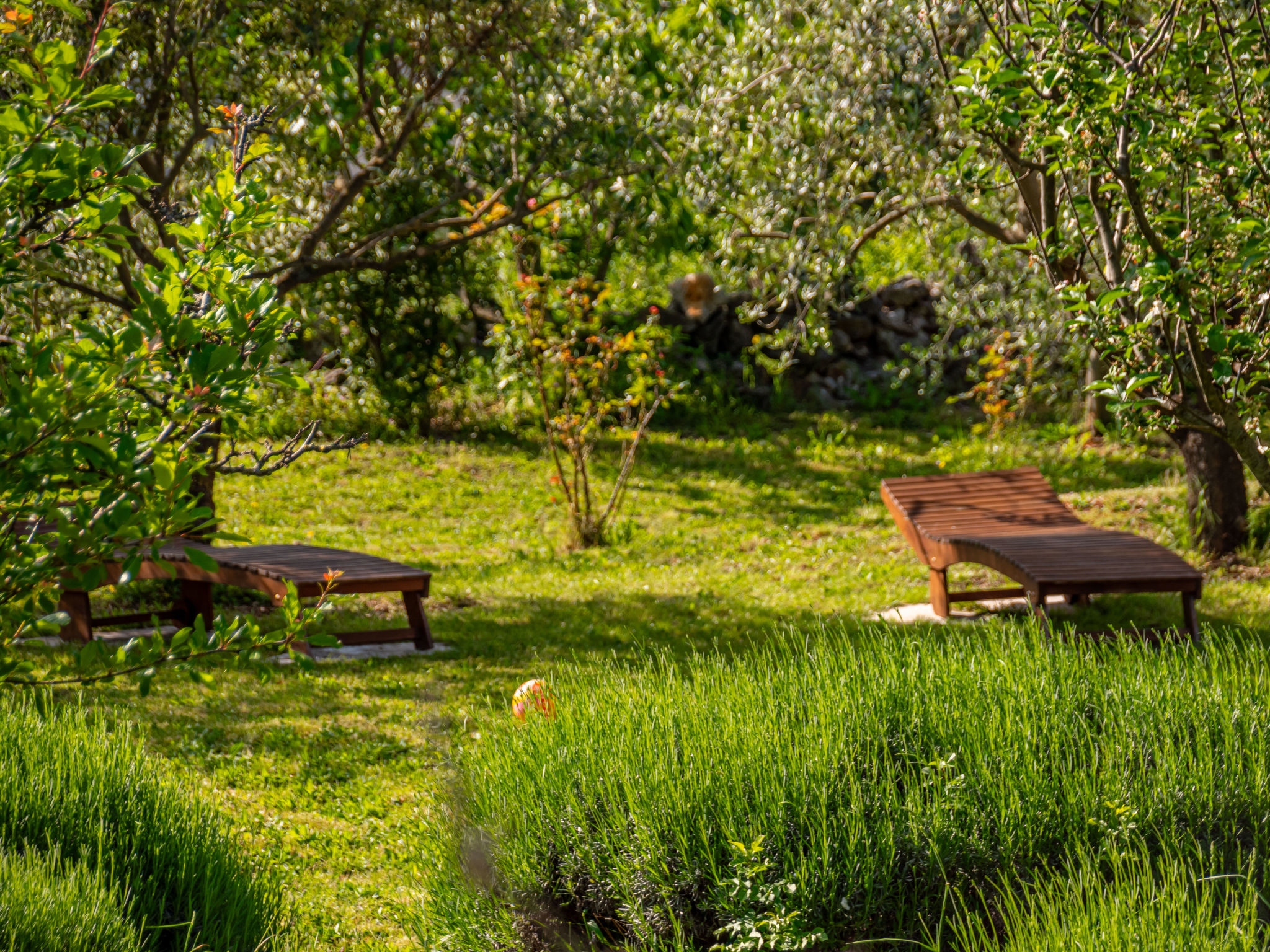 Photo of Tuscany for Two