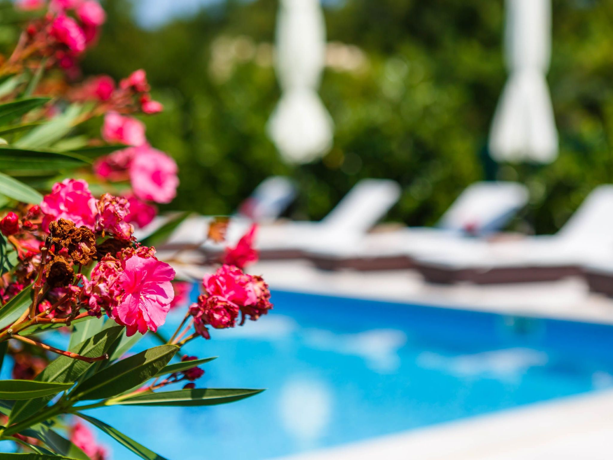 Villa Kamenica  im mediterranen Stil mit Innen- und Außenpool-Image-tags.info