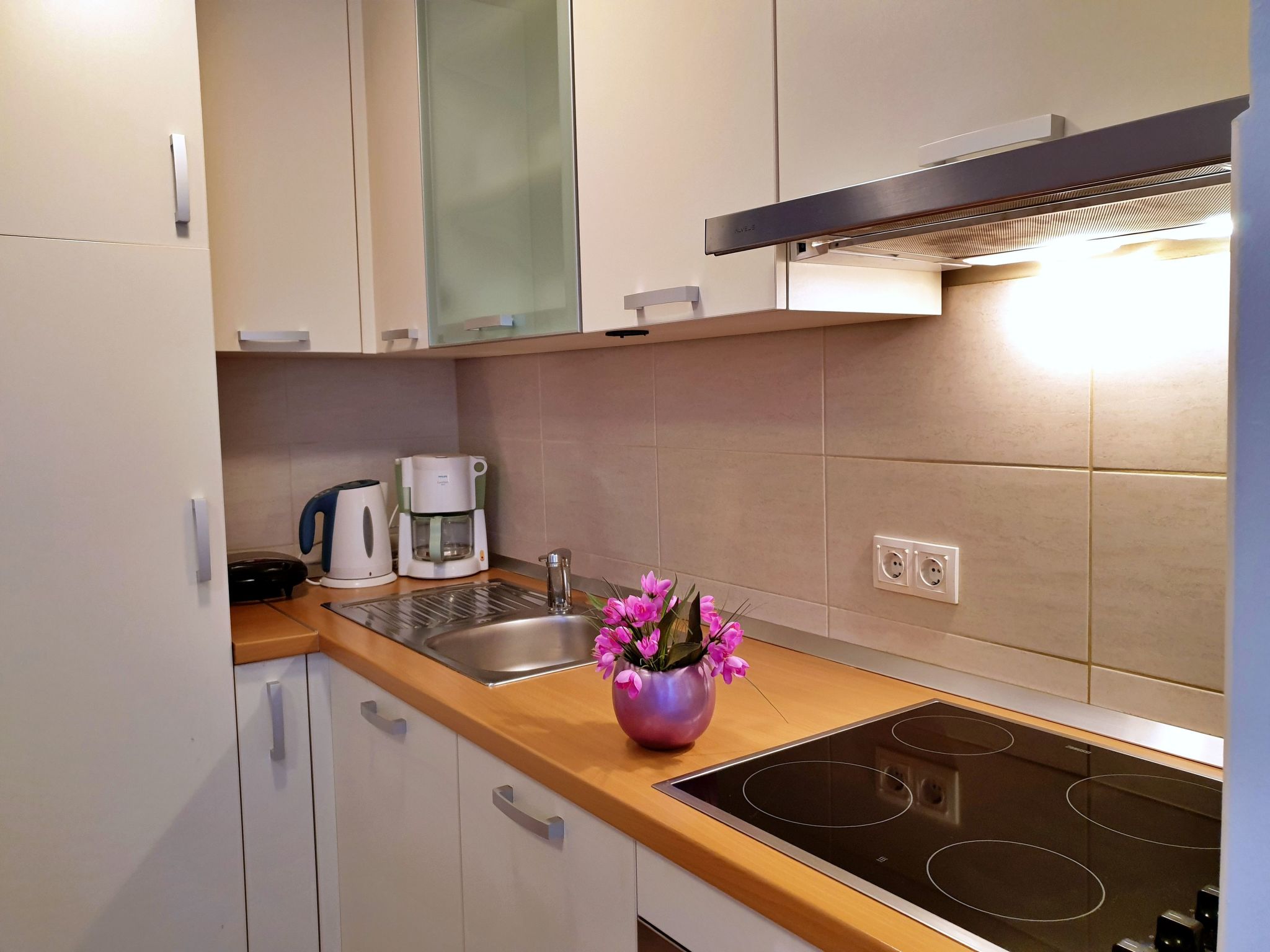 Apartment Nevenka-Dedans