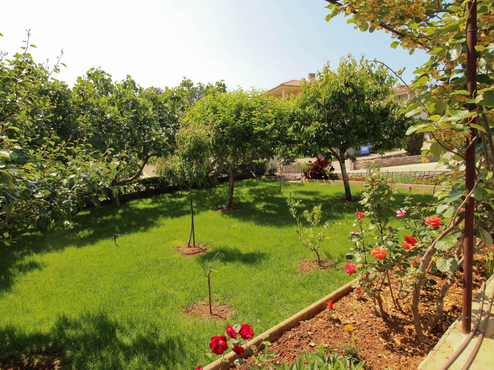 Apartment Nevenka-Dedans