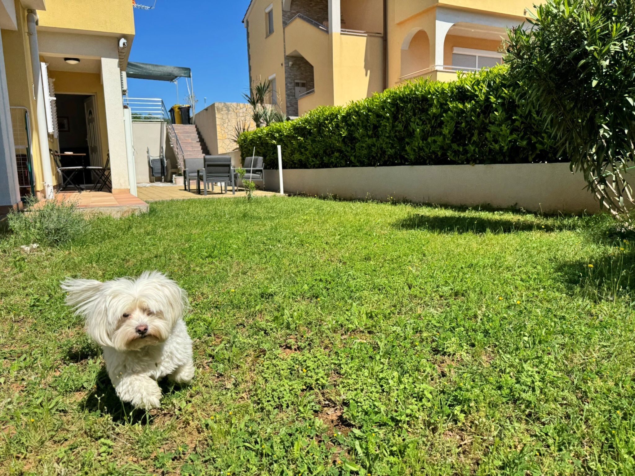 Apartment PintaDeSol-Drinnen