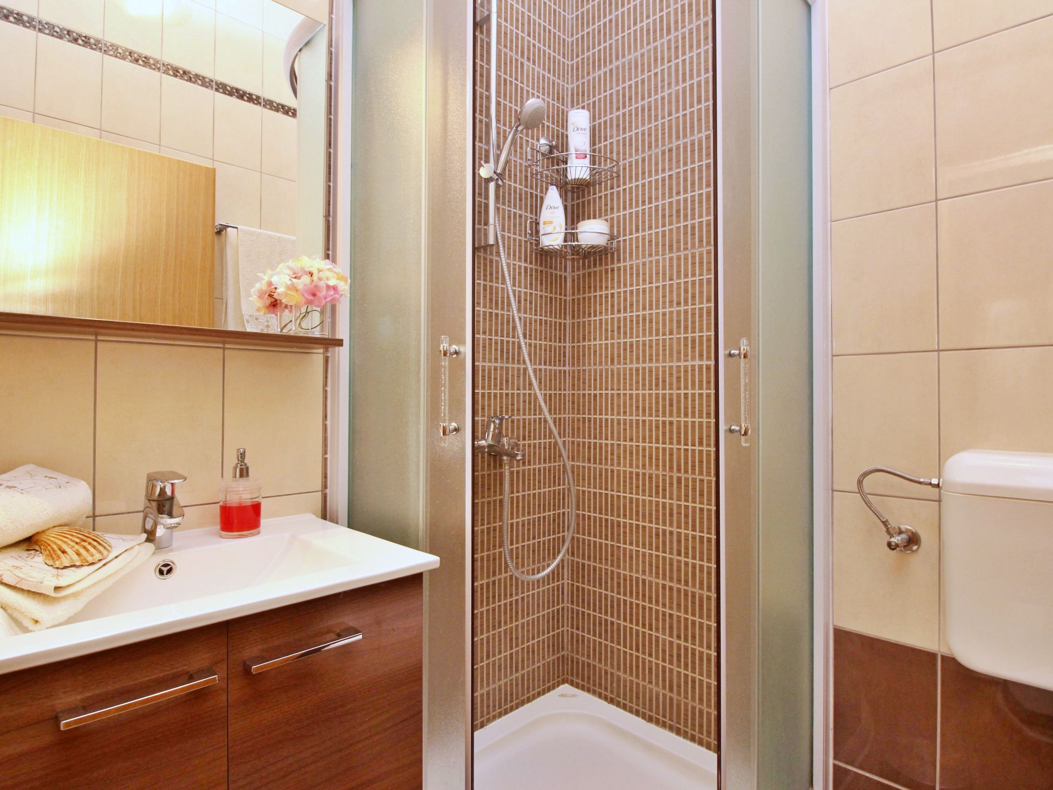 Apartment Ivanka-Dedans