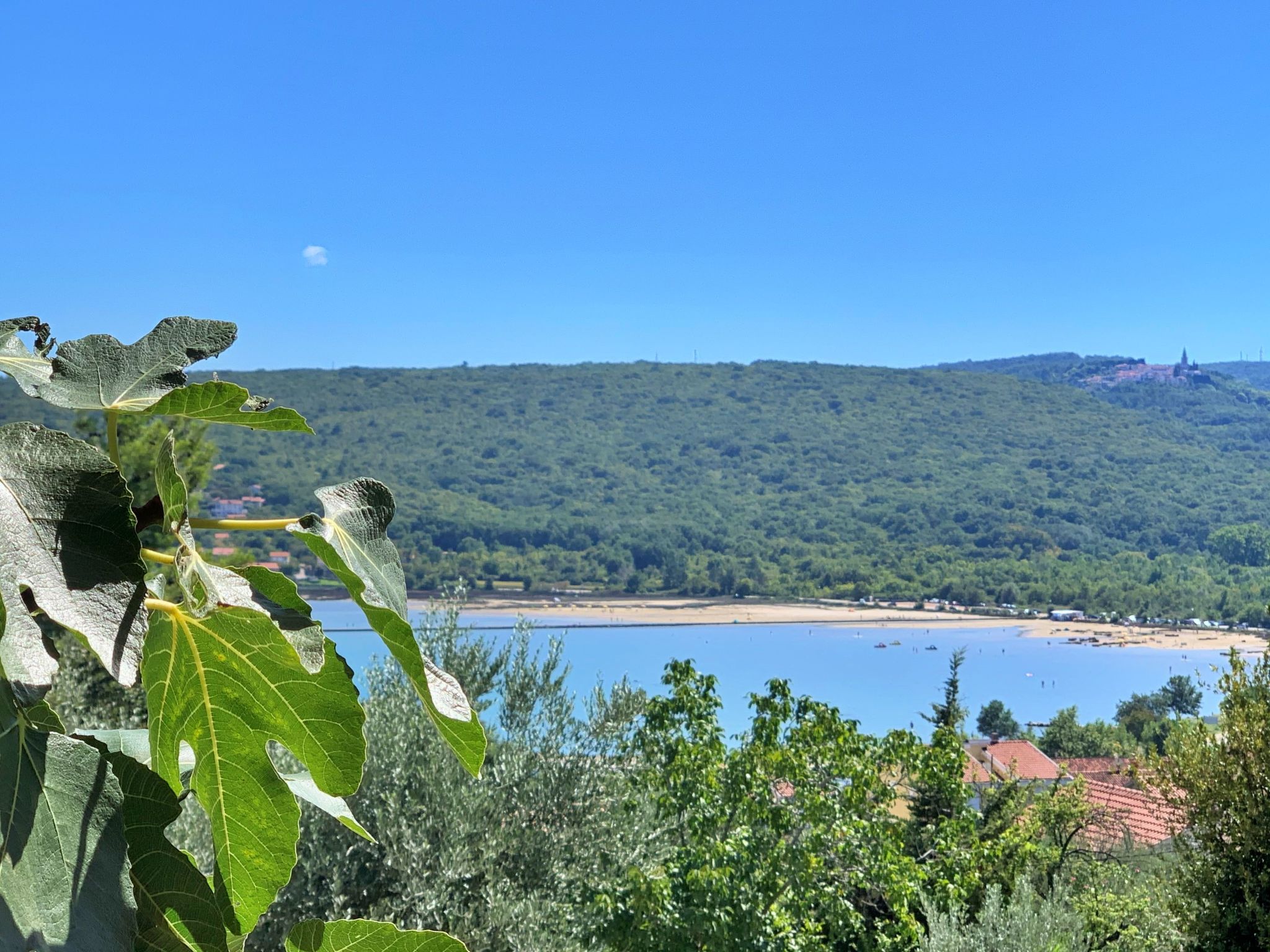 Apartment Santic-Dedans