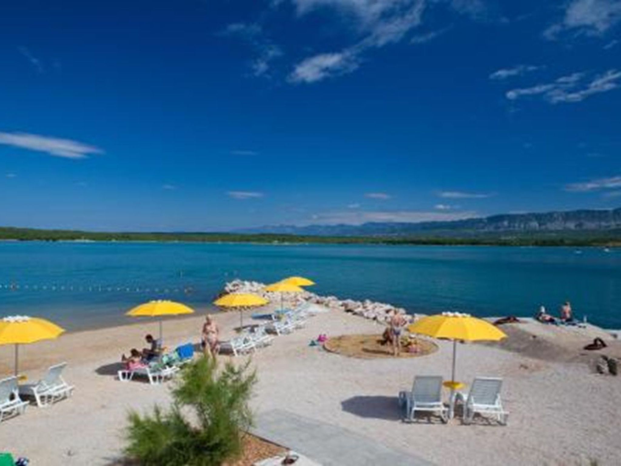 "Willheim"-Image-tags.info