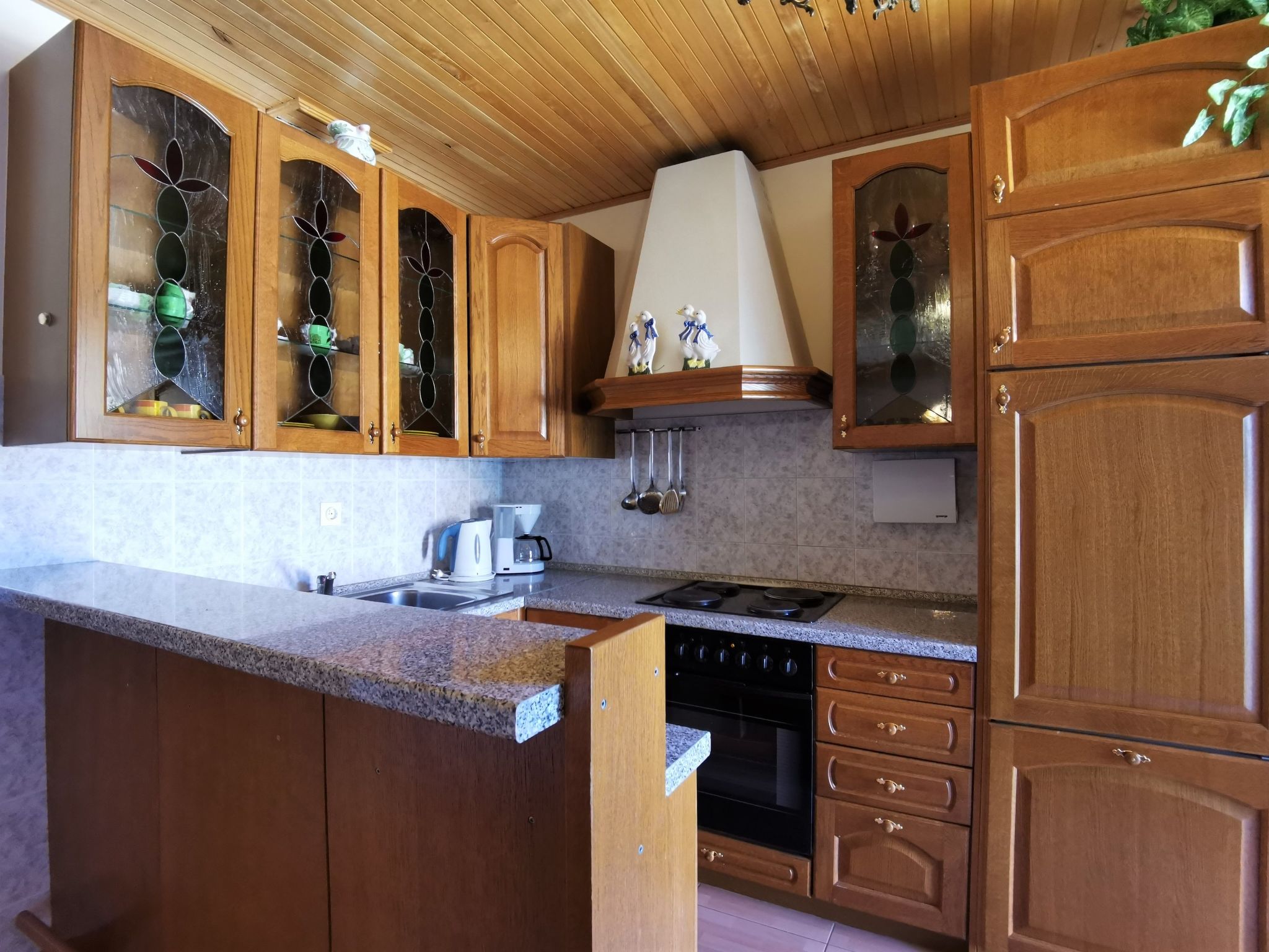 Apartment Nevenka-Dedans