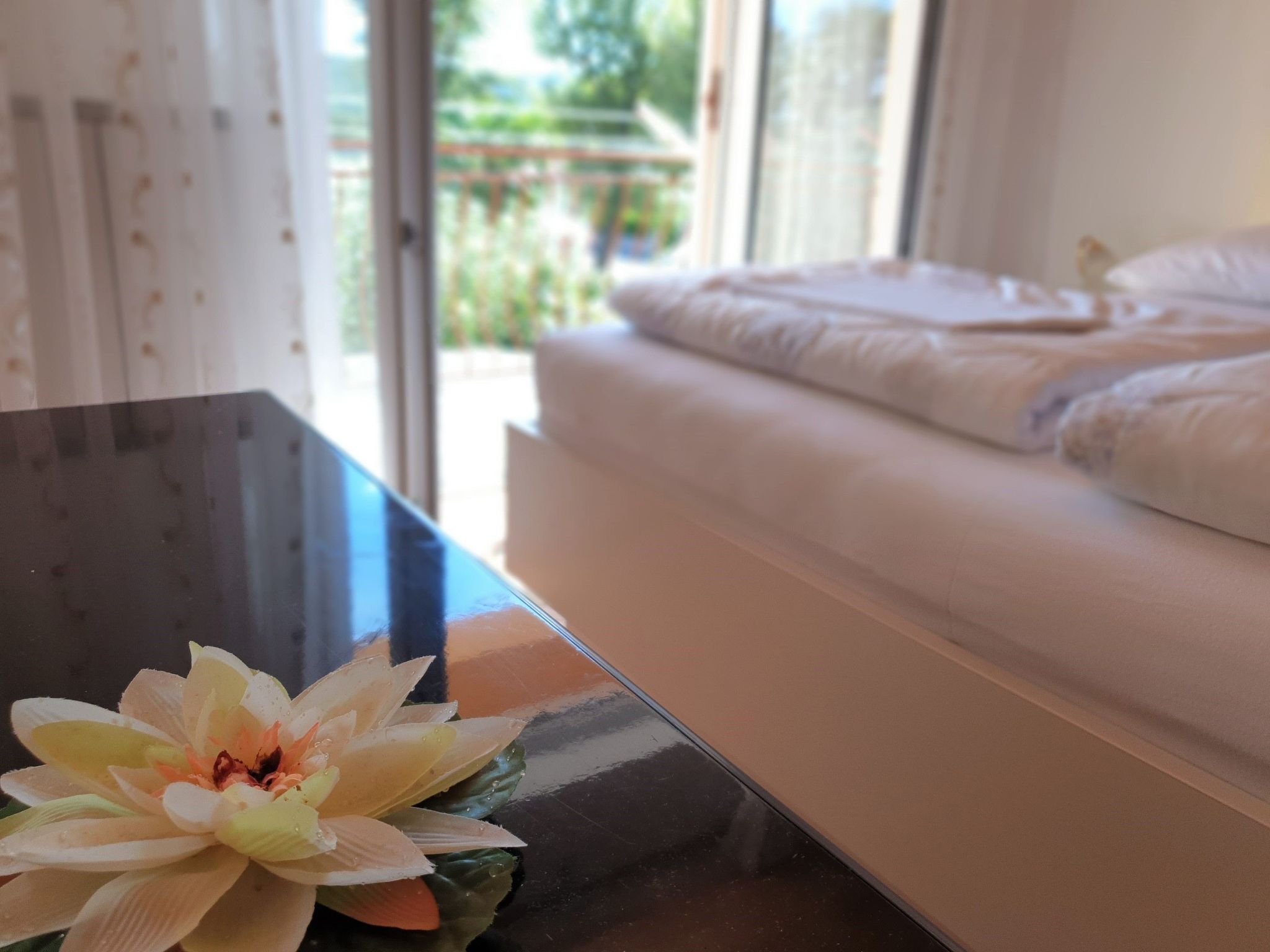 Apartment Nevenka-Dedans