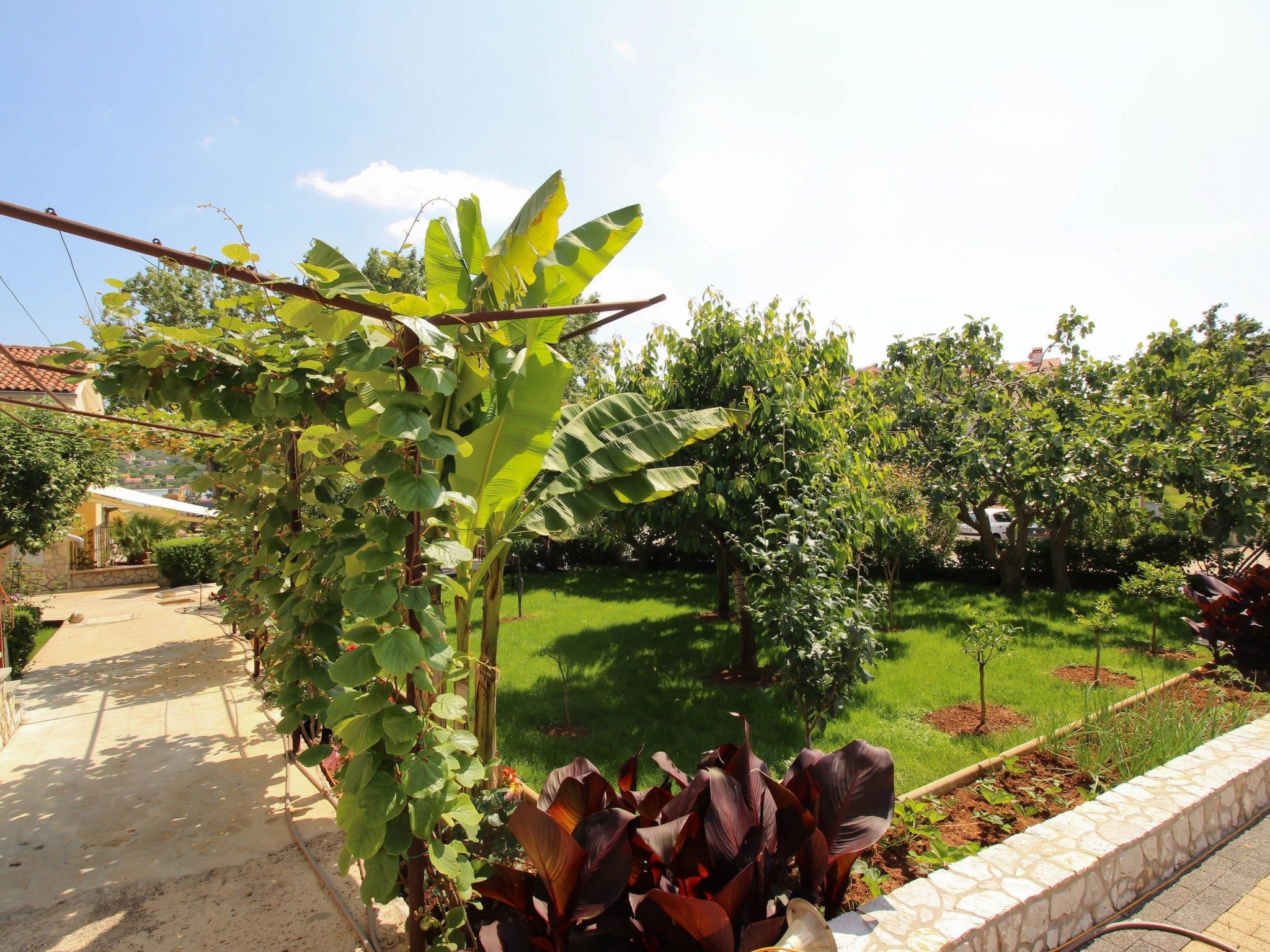 Apartment Nevenka-Dedans