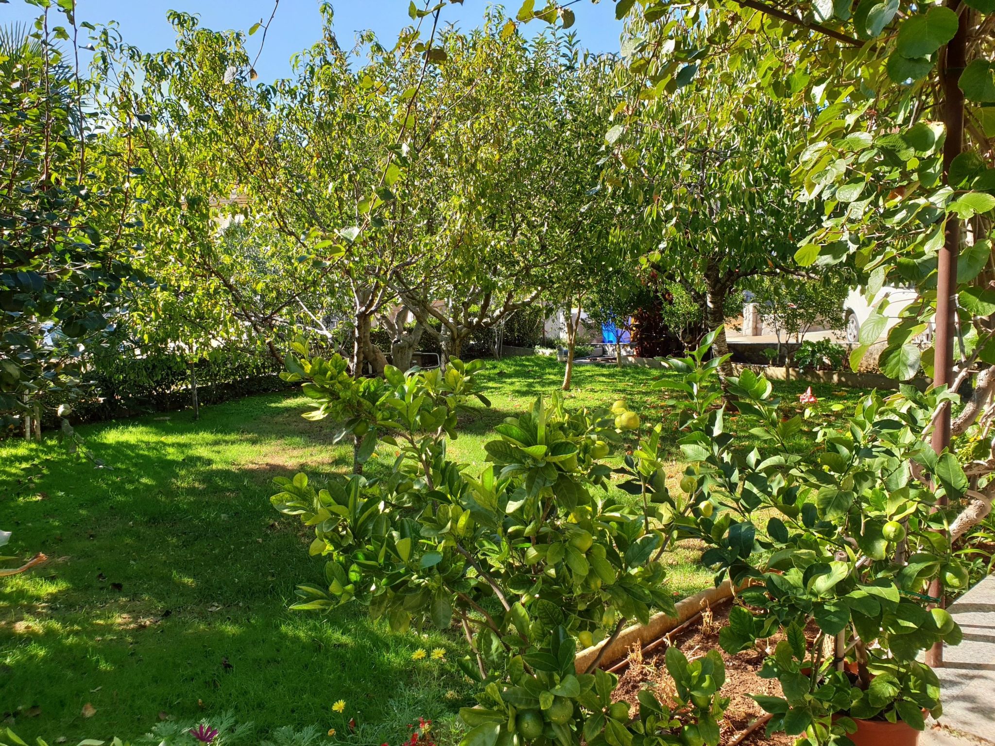 Apartment Nevenka-Dedans