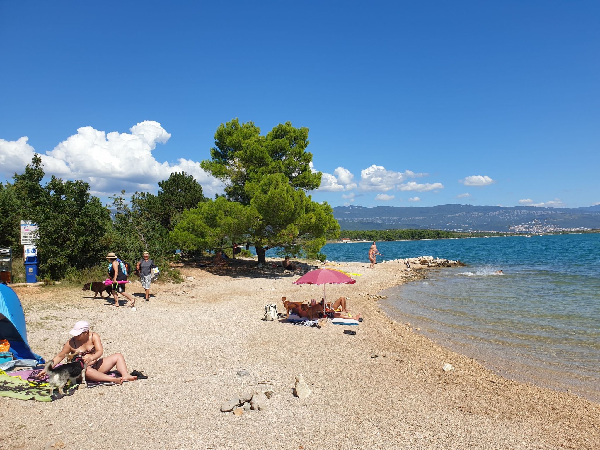 Apartment PintaDeSol-Drinnen
