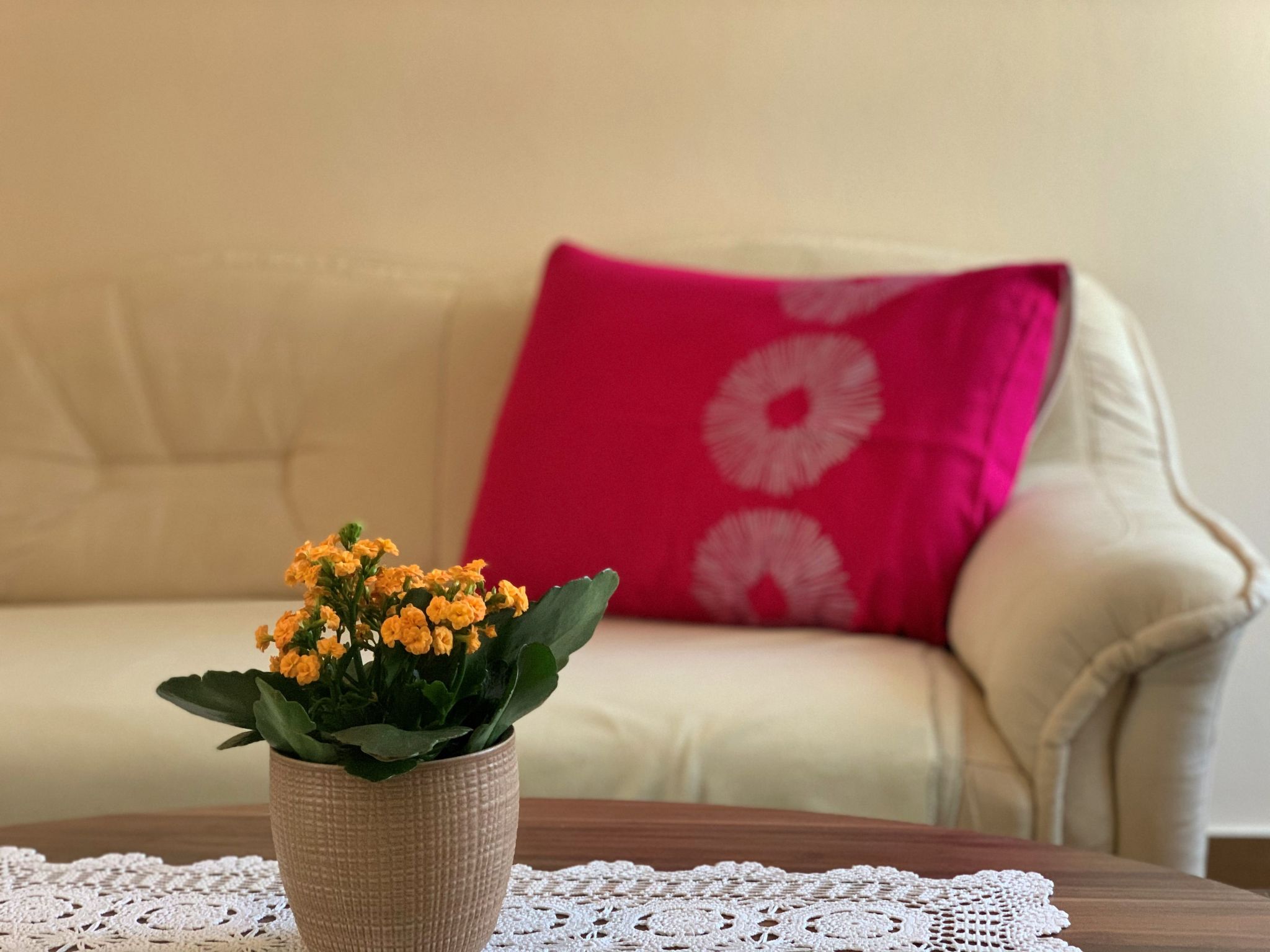 Apartment Nevenka-Dedans