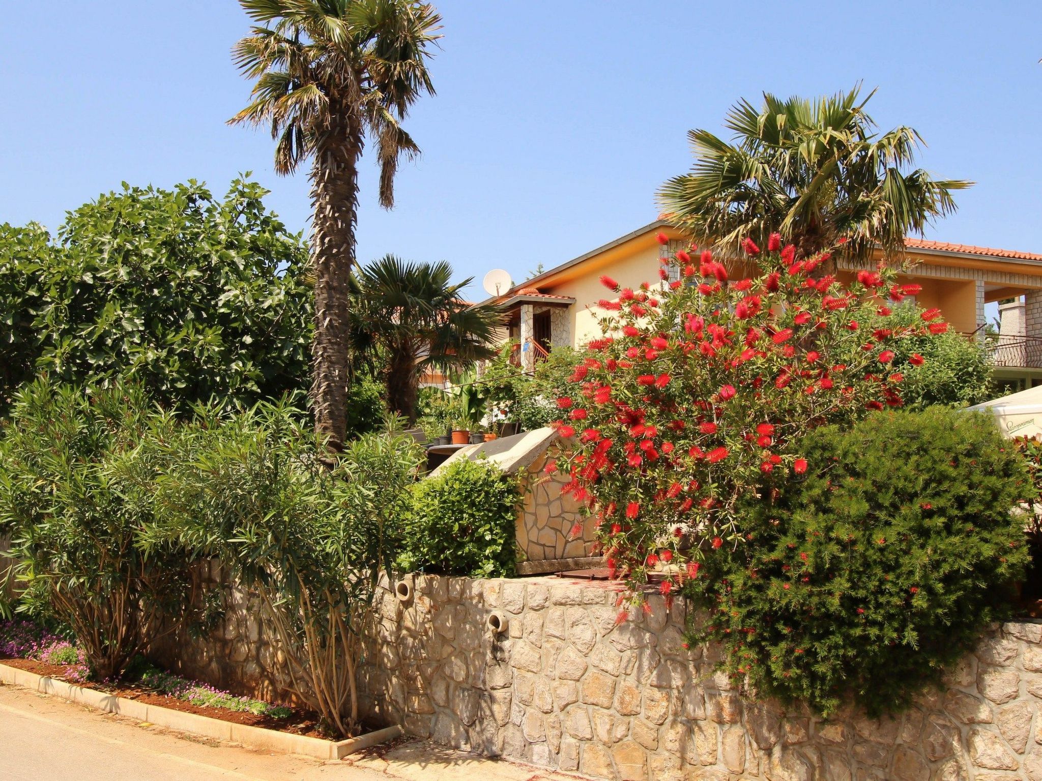 Apartment Nevenka-Dedans