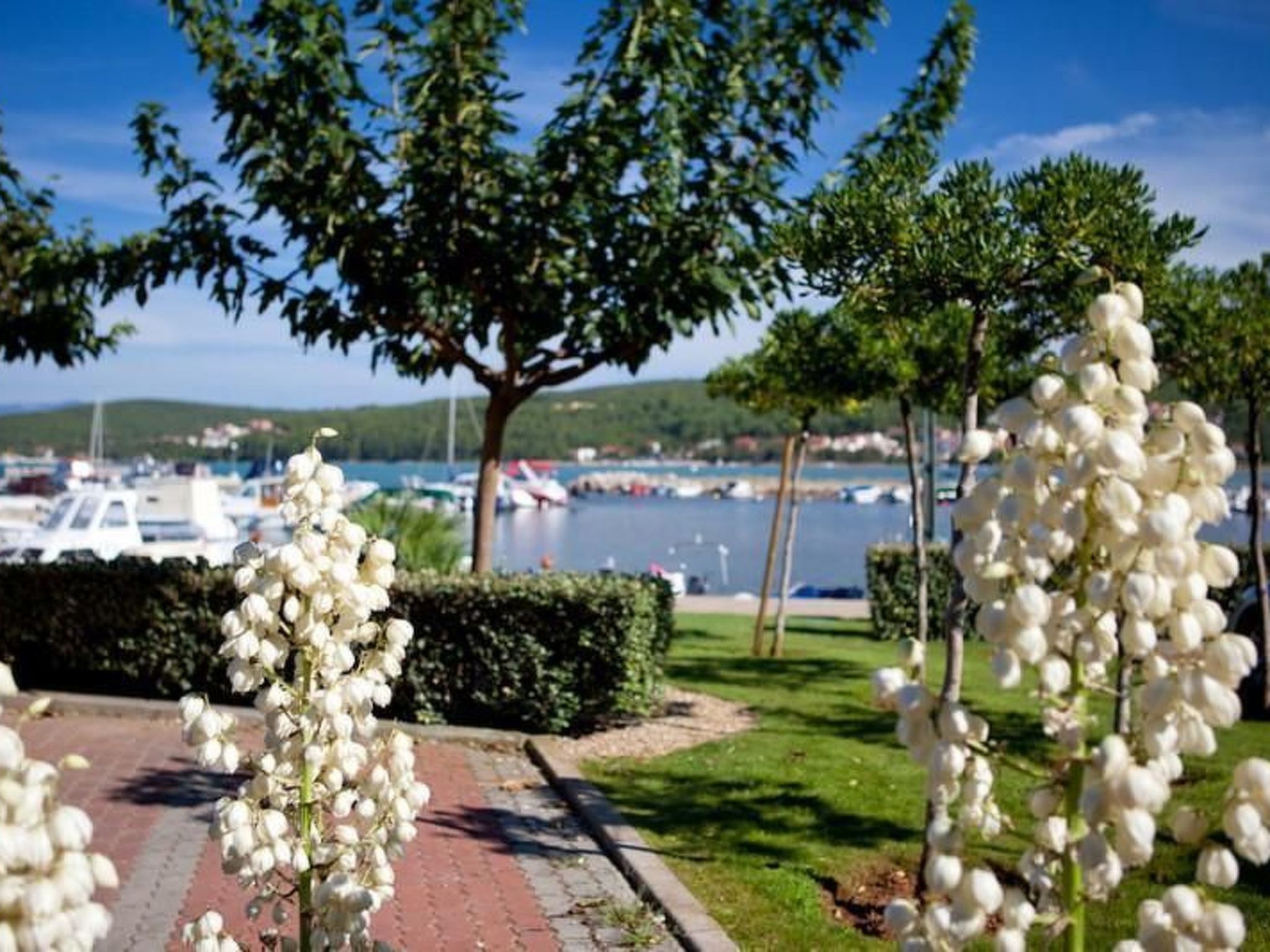 Gemütliche Wohnung 3 mit Meerblick-Dedans