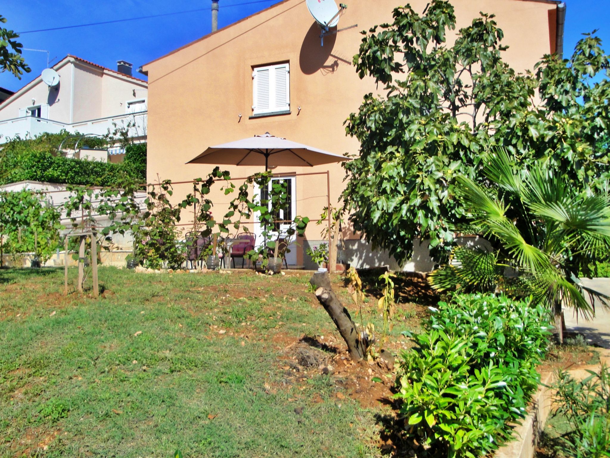 Apartment Nidisa-Dedans