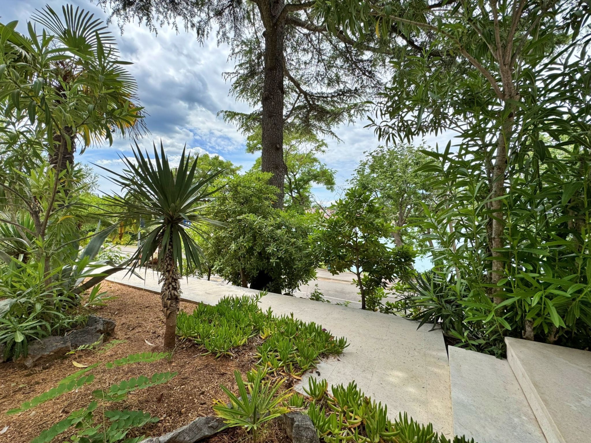 Photo of Apartment Scheich