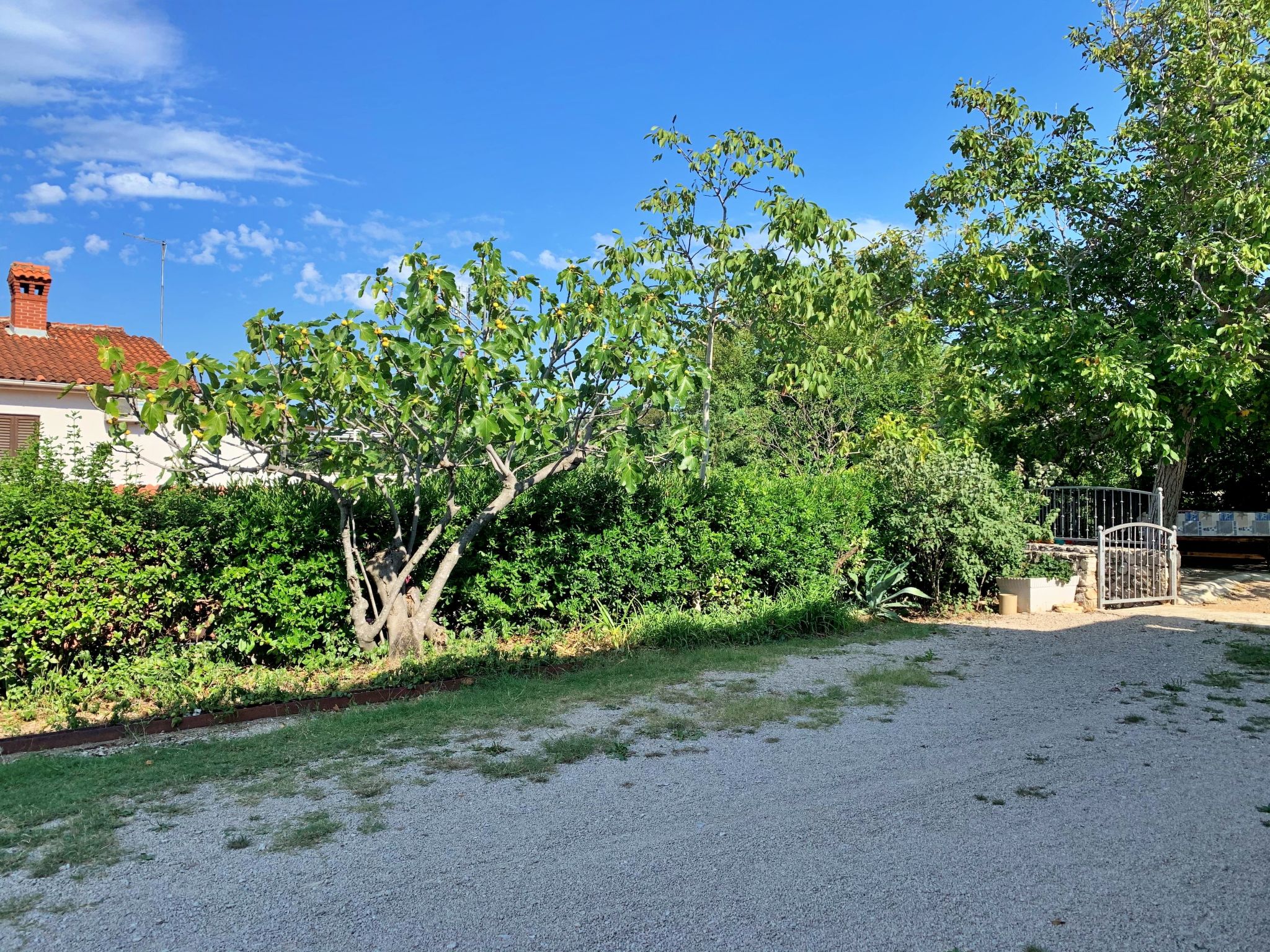 Apartment Gordana-Binnen