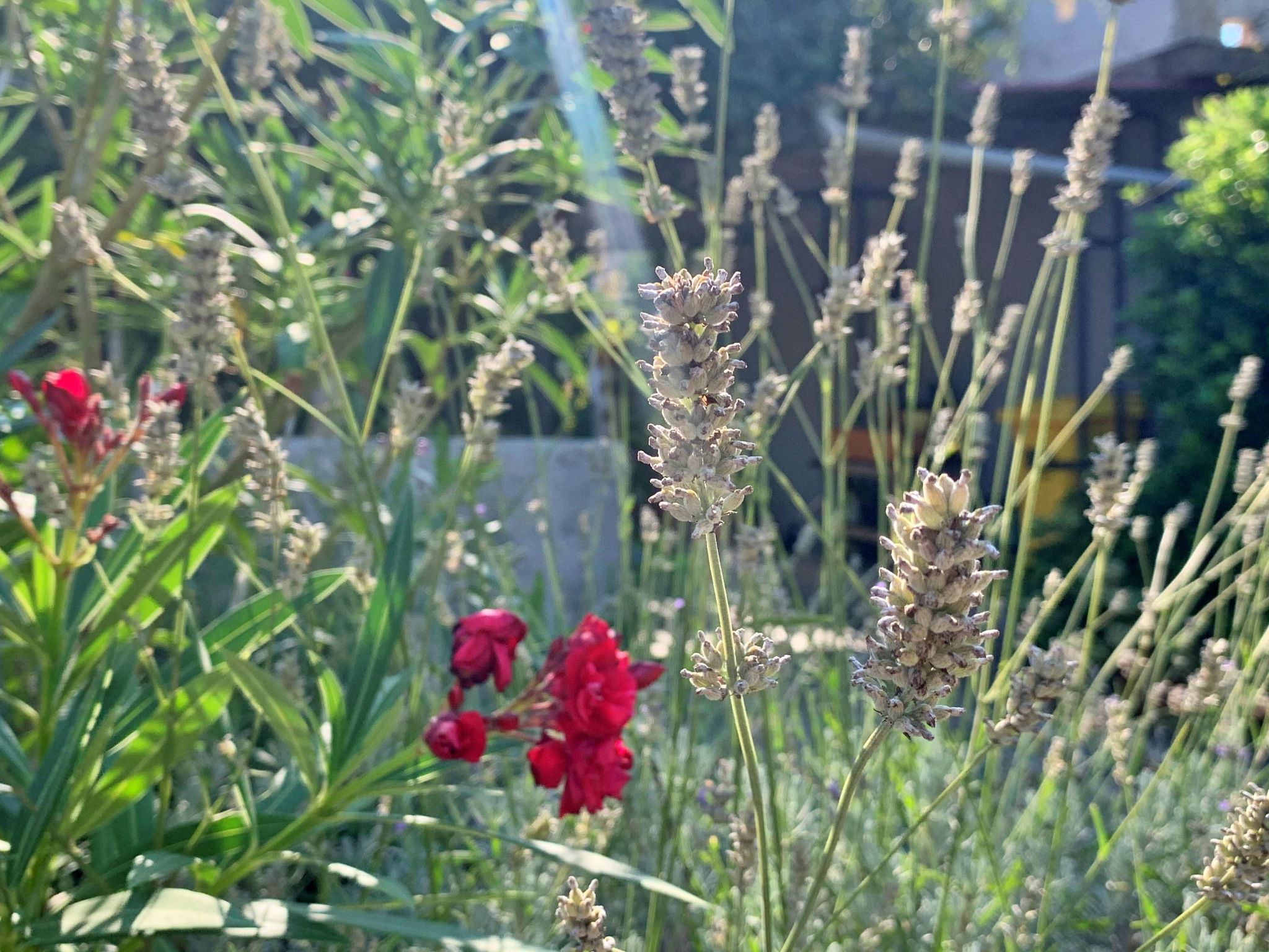 Apartment Gordana-Binnen