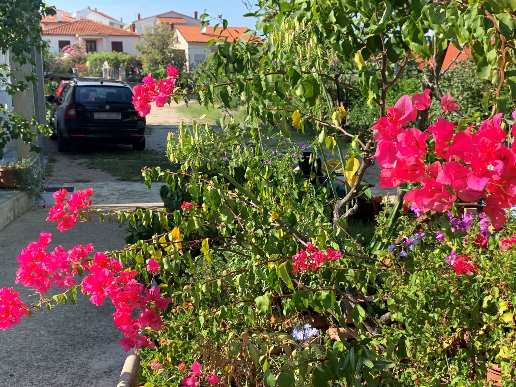 Apartment Gordana-Binnen