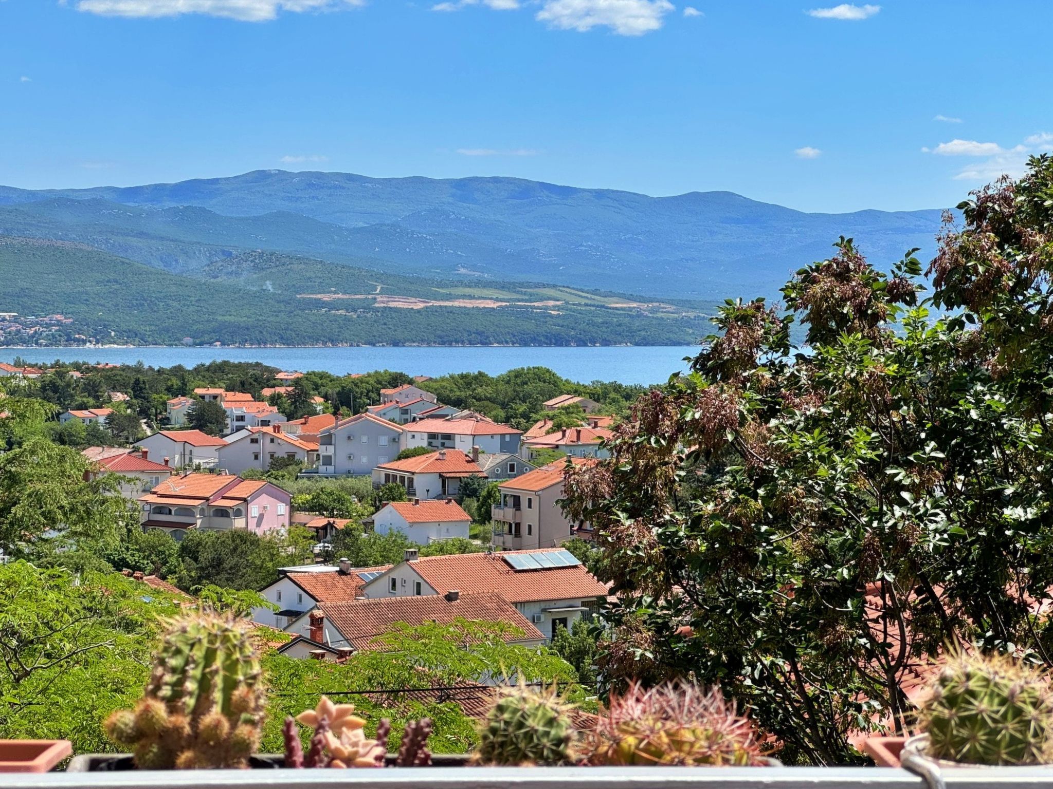 Studio Andjelka-Binnen