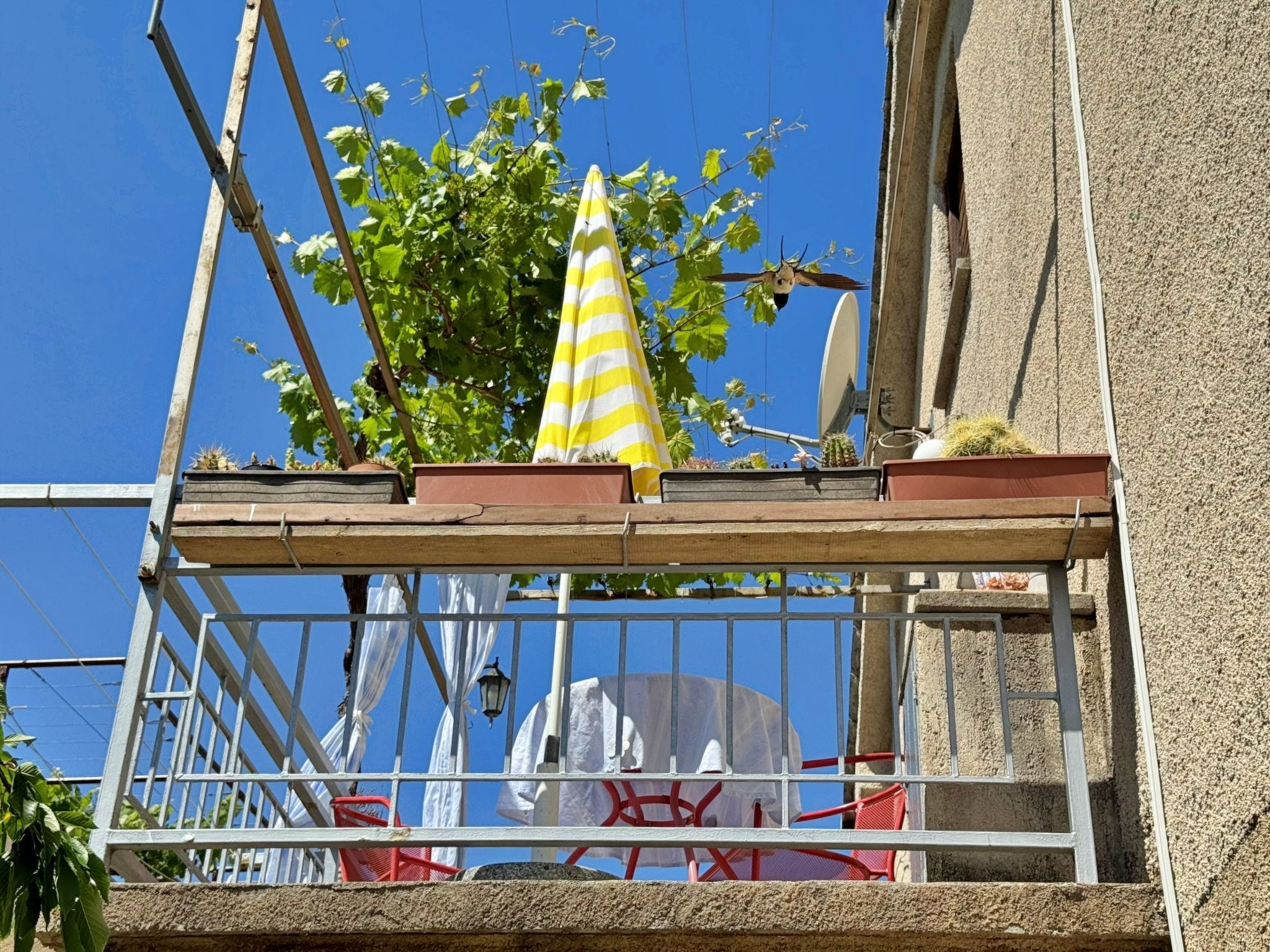 Studio Andjelka-Binnen