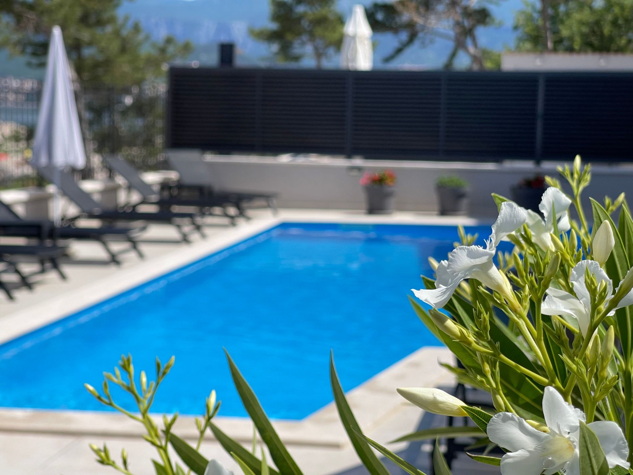 Apartment Punta Silo-Inside