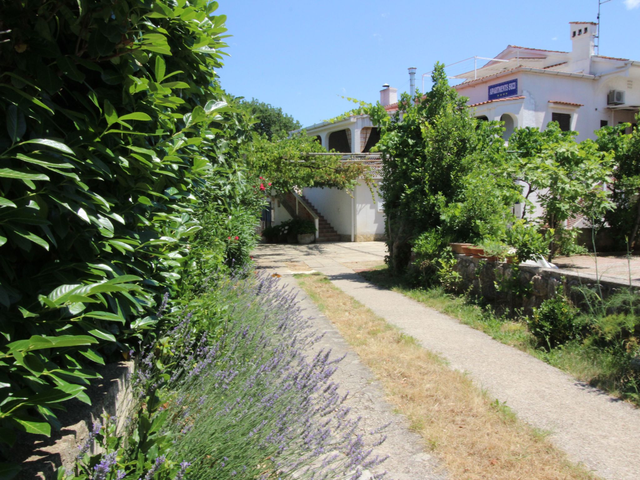 Apartment Andjela-Dedans