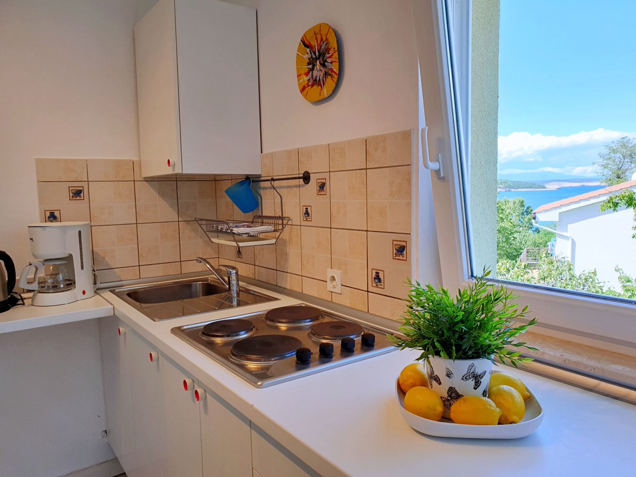 Apartment Savic-Binnen