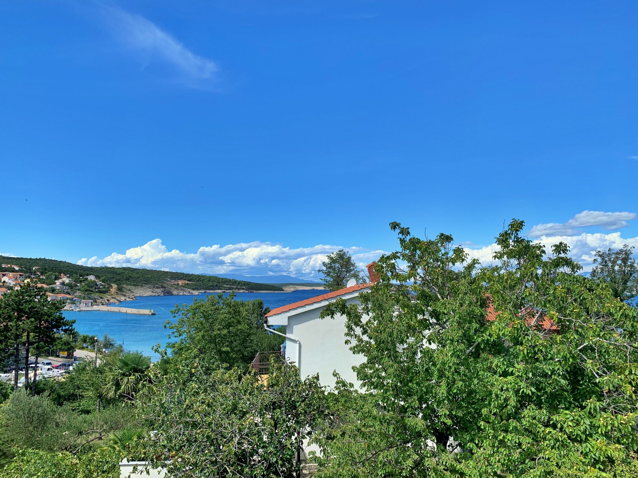 Apartment Savic-Binnen