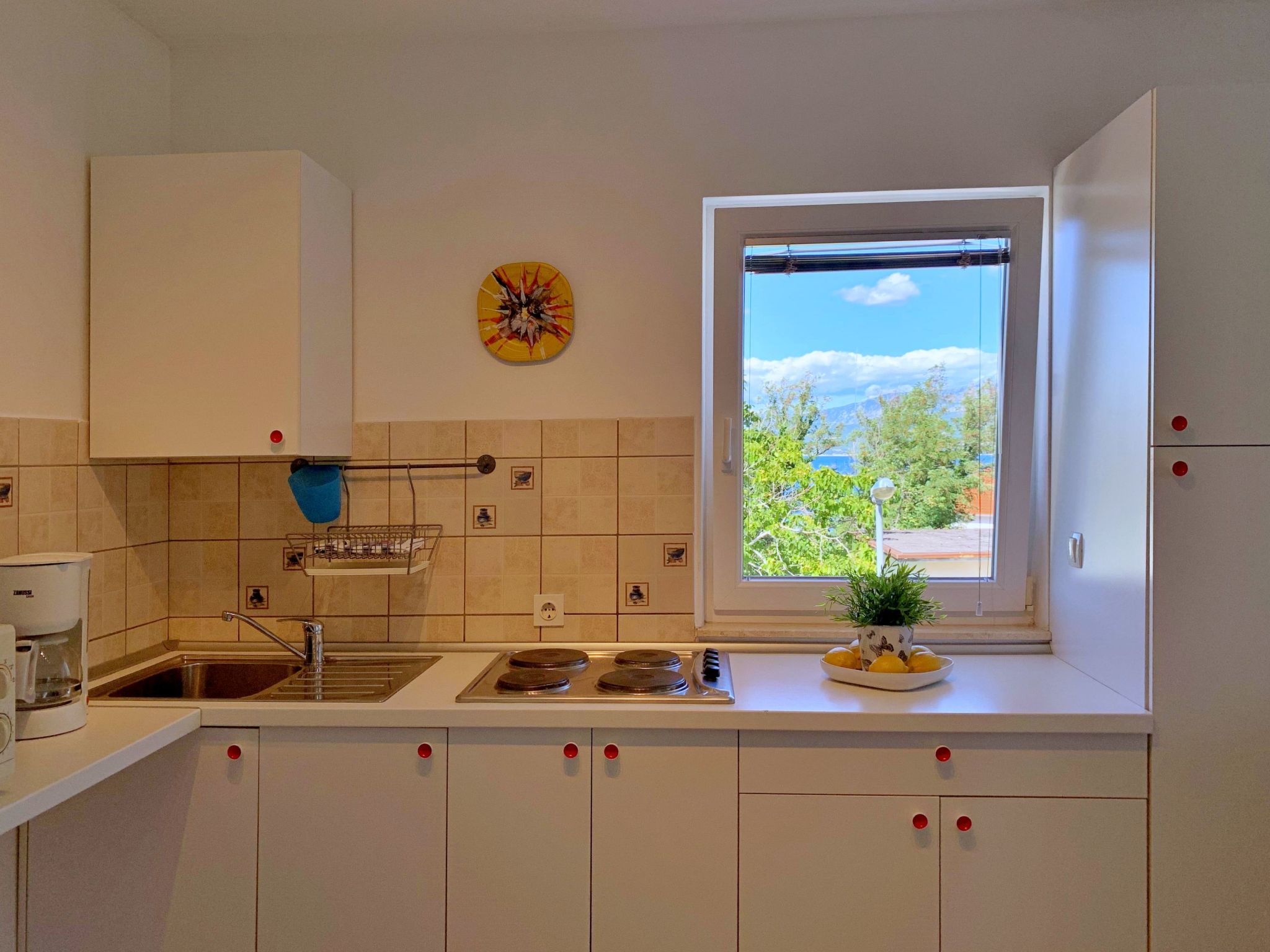 Apartment Savic-Binnen