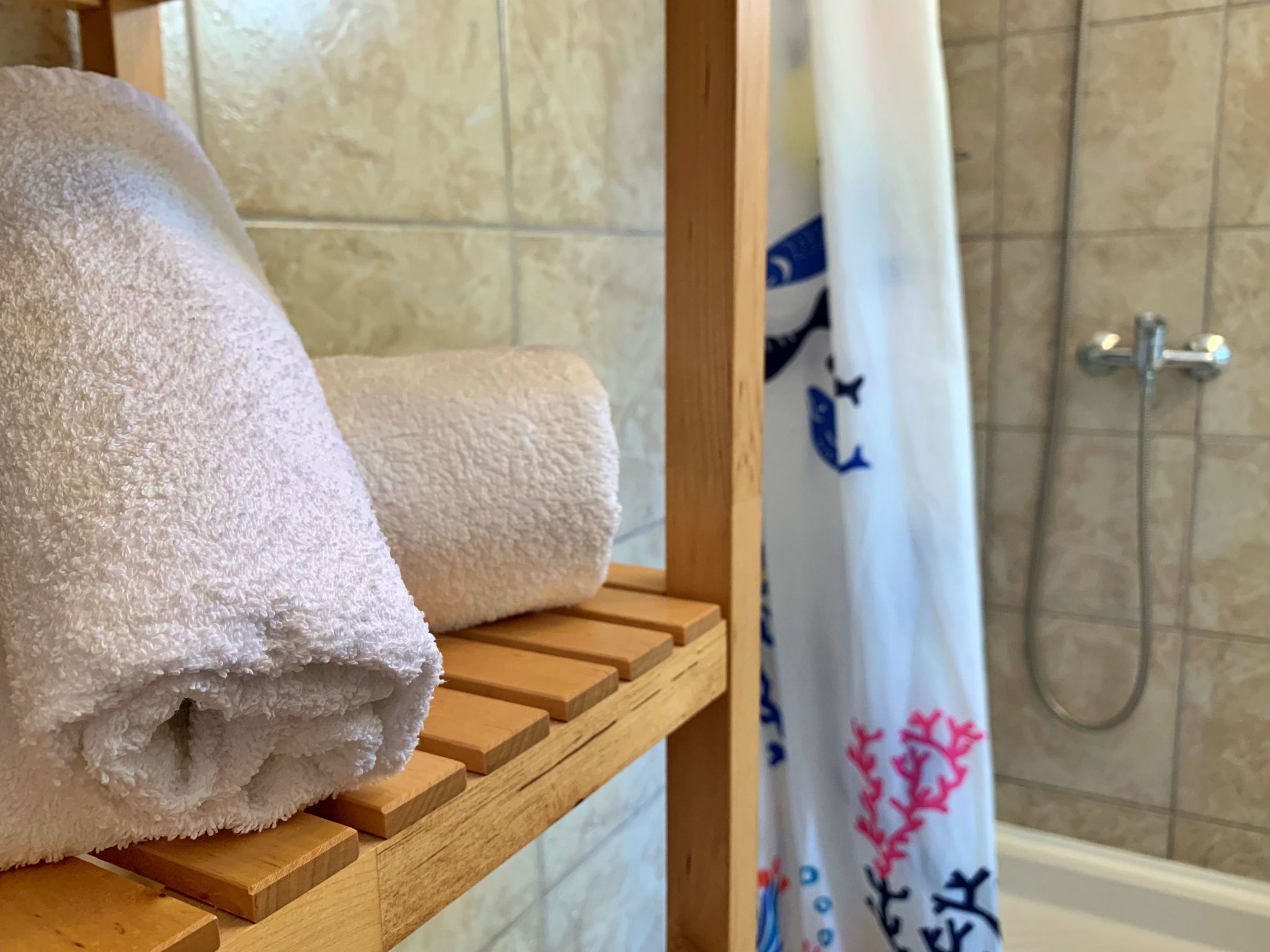 Apartment Savic-Binnen