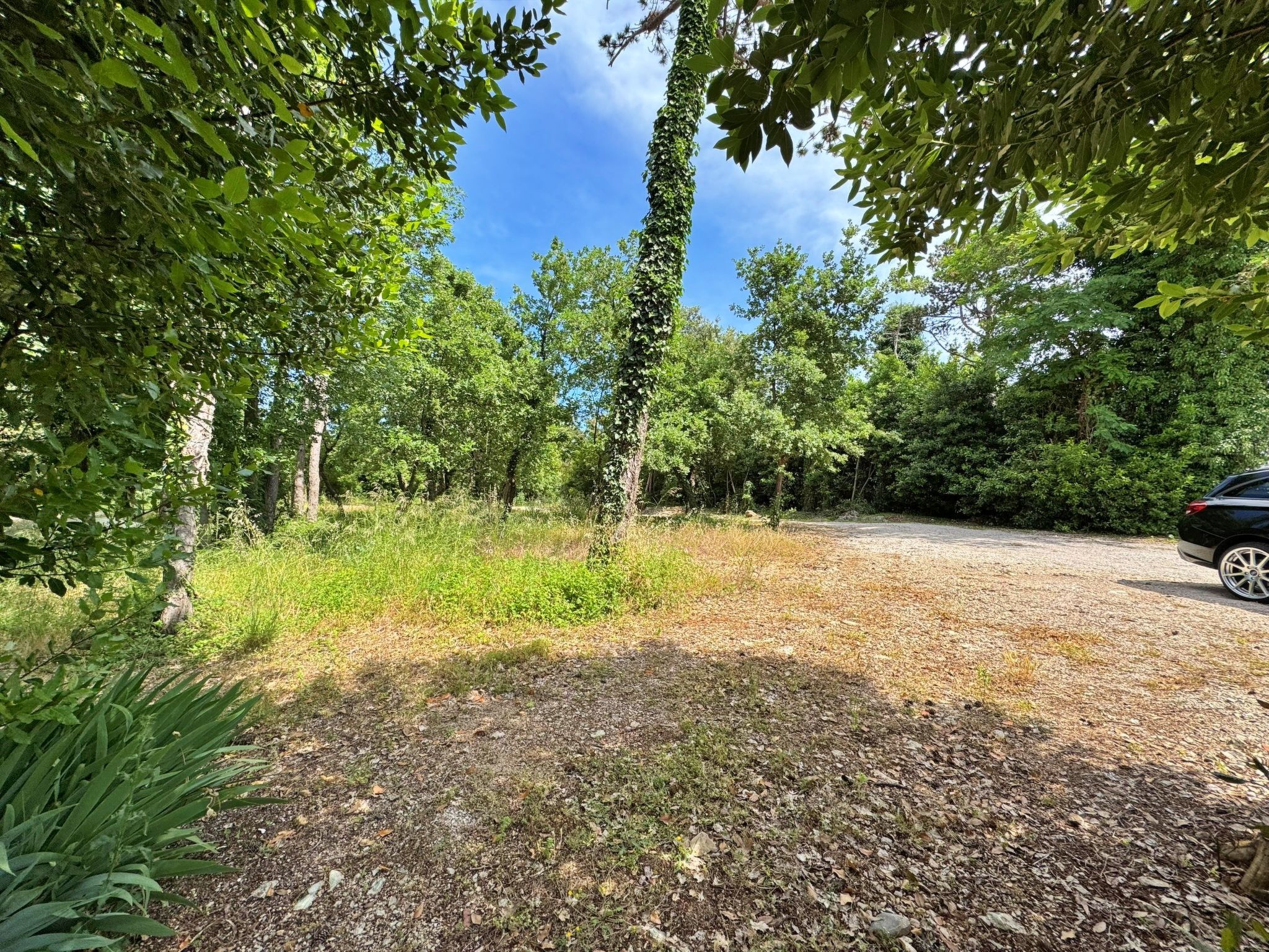 Photo of Apartment Scheich