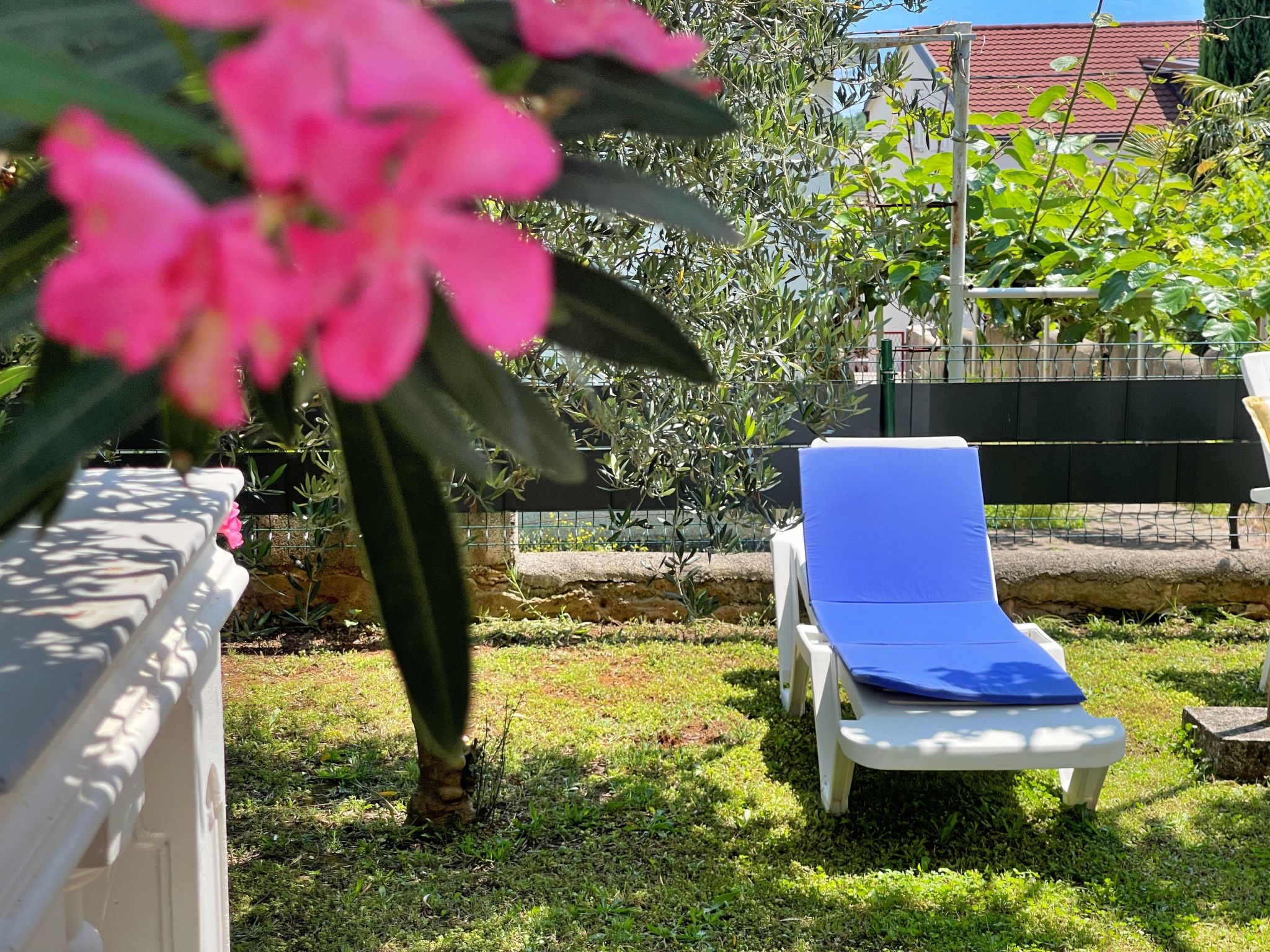 Apartment Mara-Dedans