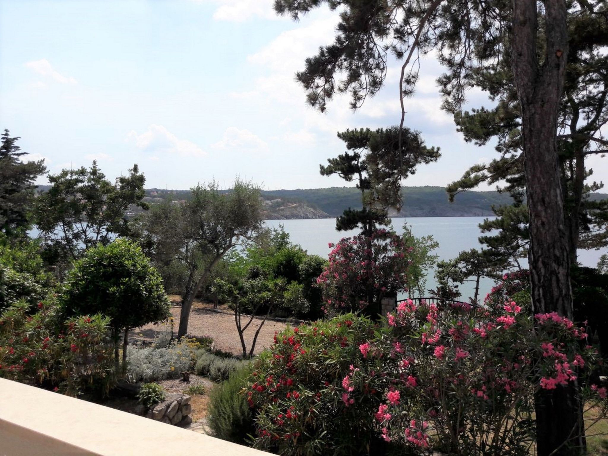 Apartment Zeljka-Image-tags.info