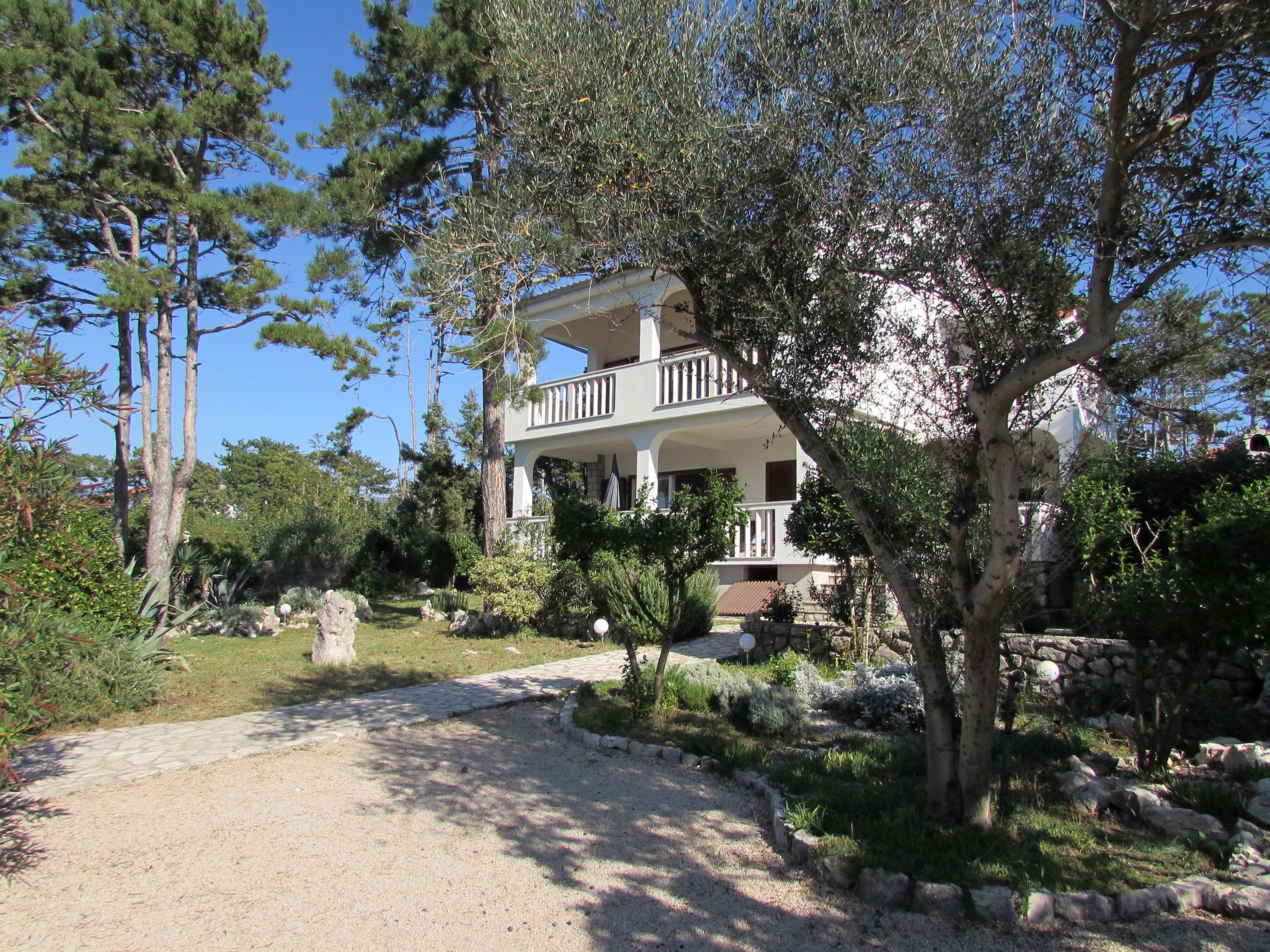 Photo of Apartment Zeljka