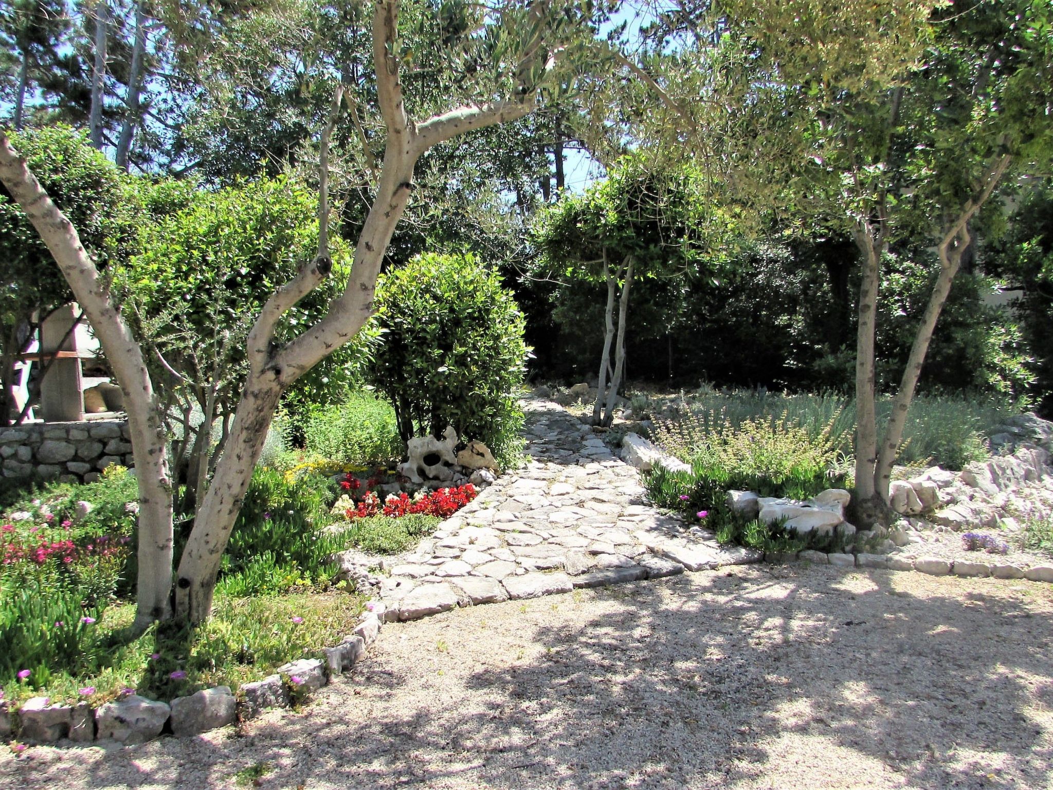 Photo of Apartment Zeljka