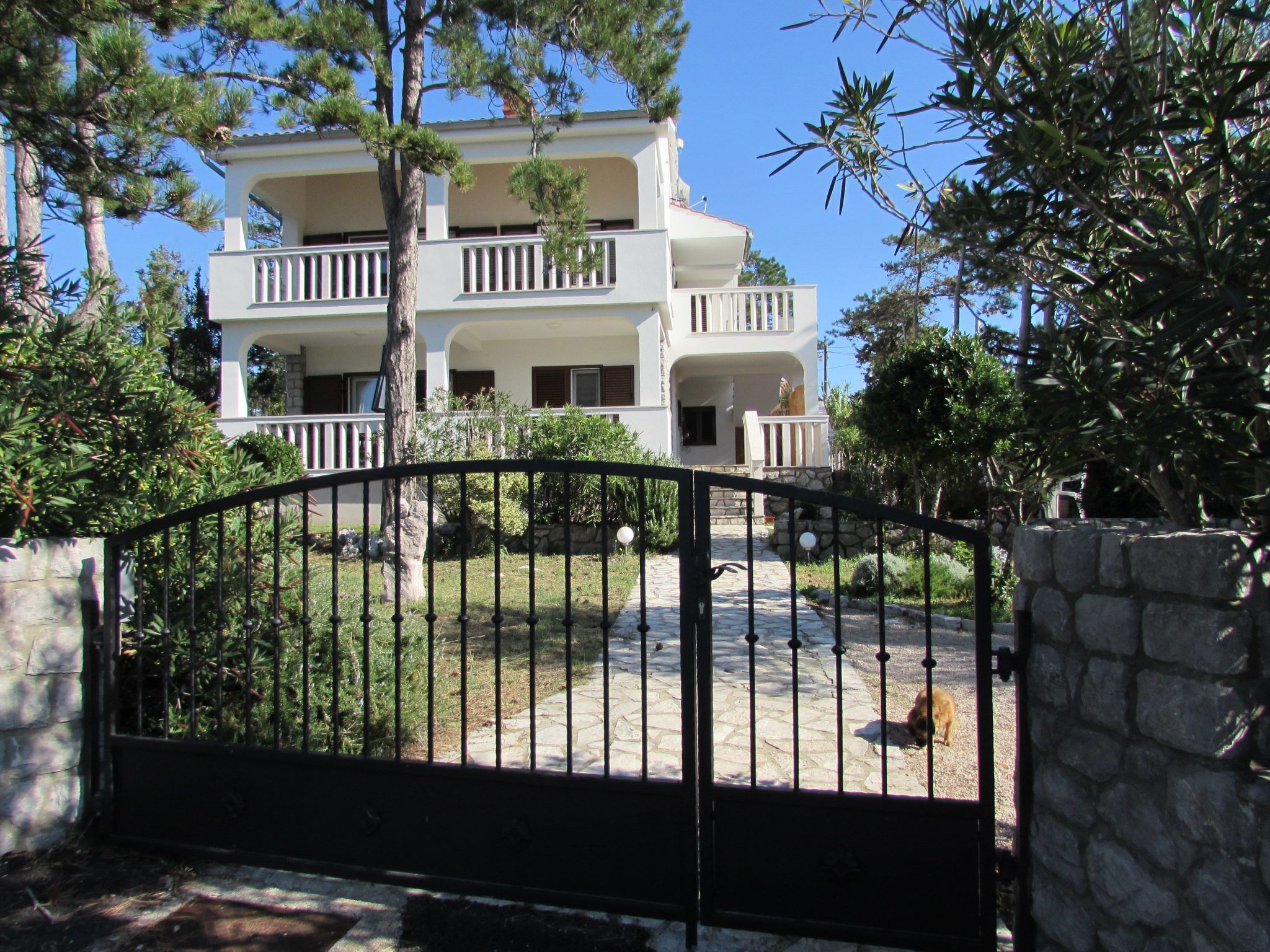 Photo of Apartment Zeljka