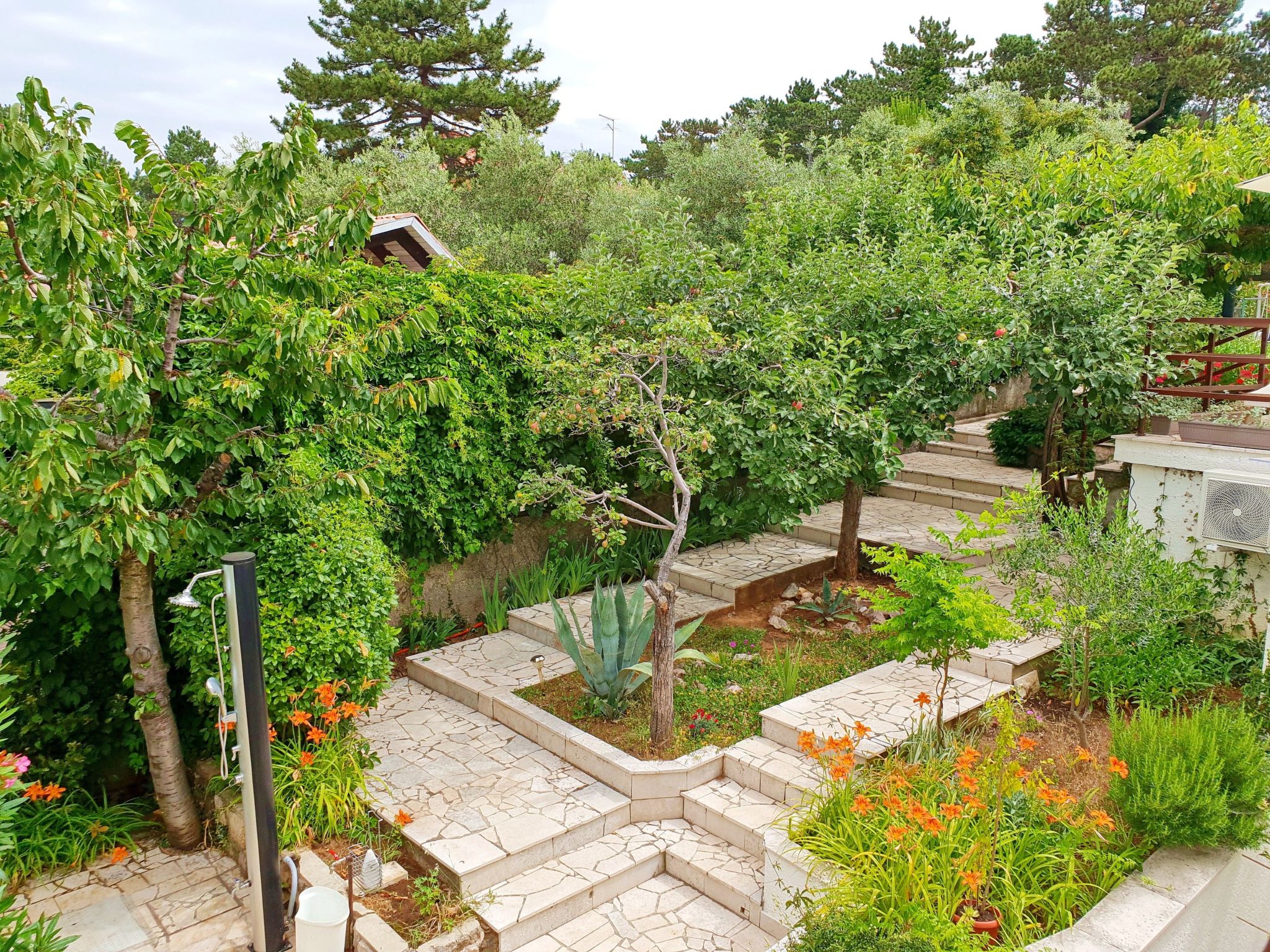 Photo of Apartment Devcic