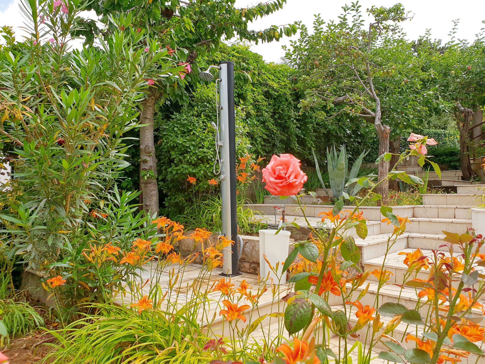 Photo of Apartment Devcic